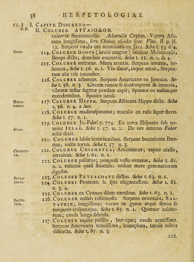 CL. I. I. G. II. Boops. Hippo* nensis. IZLAG. ClUAMET- Xj A. Petla- COATL. Salta¬ trix. Capite Discreto — II. Coluber. AYFaioAON. culatrix Surmamenlis. Acbatullct Ceylon. Vipera Afri¬ cana longiffima, five Chalcis aipidis fpec. Vine. II. 9. II. 12. Serpens viridis ore acuminato ex Java. Seba t. ^3 n.4. 114. Coluber Boops (oculis magnis) oculeus Malaccenlis, Boops difta; dentibus uncinatis. Seba t. 5* J. n. 1. & 4. j 15*. Coluber mitratus. Mitra arantia. Serpens amoena, he- liconia, Seba t. 56. n. 1. Vix datur,inquit autor, Serpen- tum alia vifu jucundior. 116. Col uber arboreus. Serpens Americana ex Jamaica. Se¬ ba t. 5*6. n. 3. Circum ramos fe contorquens & immota, vibratae inftar fagittae praedam capit; fquamis os nafumque excedentibus. Species jaculi. 117. Coluber Hippo. Serpens Africana Hippo di&a. Seba t. 56. n. 4. a loco. 118. Coluber maderalpatanus; maculis ex rufo fuper flavo. Seba t 57. n. 1. * , ' 119. Coluber Jo. Fabri p. 774. Ex nova Hifpania fub no¬ mine Izlag. Seba t. 57. n. 2. De ore interno Faber nihil dixit. 120. Coluber labiis luxuriantibus. Serpens bucculenta Baeo- tica; vultu torvo. Seba t. 5*7. n. 3. 121. Coluber Chiametla; Americanus; capite erado, coeruleus. Seba t. 61. n. 1. 122. Coluber pullatus; pompofa vefte ornatus. Seba t. 61. n. 2. rolaceis quali flosculis, ordine more gemmariorum digeftis. 123. Coluber Petlacoatl dictus. Seba t. 63. n. 1. 124. Colubri Promont. b. fpei elegantiffimi. Seba t. 62. n. 3* 4* 12Coluber ex Cyaneo dilute caeruleus. Seba t. 63. n. 2. 126. Coluber collari rubicundo. Serpens orientalis, Sal¬ tatrix; longiffima; varios in gyros atque flexus fe torquens crifpansque. Seba t. 6>. n. 1. Qiiatuor cubito¬ rum; cauda longa fubrufa. 127. Coluber capite pufillo , brevique; cauda acutiffima. Serpens Americana tenuiffima, leucophaea, taeniis rubris diftindta. Seba t. 65*. n. 3. 12S.