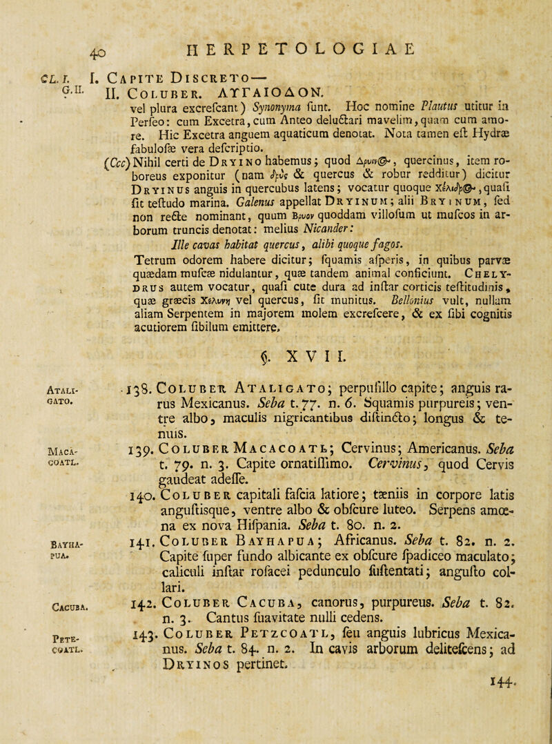 cli. I. Capite Discreto — ?*IL II. Coluber. ATTAIOAON. vel plura excrefcant) Synonyma funt. Hoc nomine Plautus utitur ia Perfeo: cum Excetra,cum Anteo delu£lari mavelim, quam cum amo¬ re. Hic Excetra anguem aquaticum denotat. Nota tamen eft Hydrae fabulofae vera defcriptio. (Ccc) Nihil certi de Dry i no habemus; quod Apviv(&, quercinus, item ro¬ boreus exponitur (nam & quercus & robur redditur) dicitur Dryi nus anguis in quercubus latens; vocatur quoque x£ai<J)>©-,quali fit teftudo marina. Galenus appellat D r y i n um ; alii Bryinum, fed non re&e nominant, quum fyvov quoddam villofum ut mufcos in ar¬ borum truncis denotat: melius Nicander: Ille cavas habitat quercus, alibi quoque fagos. Tetrum odorem habere dicitur; fquamis afperis, in quibus parvae quaedam mufcae nidulantur, quae tandem animal conficiunt. Chely¬ drus autem vocatur, quafi cute dura ad inflar corticis teflitudinis * quae graecis XeAtwj vel quercus, fit inunitus. Bellonius vult, nullam aliam Serpentem in majorem molem excrefcere, & ex fibi cognitis acutiorem fibilum emittere. , / » * , f X V I I. Atali- GATO. Maca- coatl. Bayha- PUA. Cacuba. Pete- CQATL. • 138. Coluber Ataligato; perpufillo capite; anguis ra¬ rus Mexicanus. Seba t.77. n. 6. Squamis purpureis; ven¬ tre albo 3 maculis nigricantibus diftindio; longus & te¬ nuis. 139. ColuberMacacoatl; Cervinus; Americanus. Seba t. 79. n. 3. Capite ornatiffimo. Cervinus, quod Cervis gaudeat adefle. 140. Coluber capitali fafeia latiore; taeniis in corpore latis anguftisque , ventre albo & obfcure luteo. Serpens amoe¬ na ex nova Hifpania. Seba t. 80. n. 2. 14.1. Coluber Bayhapua; Africanus. Seba t. 82. n. 2. Capite fuper fundo albicante ex obfcure Ipadiceo maculato; caliculi indar rofacei pedunculo fiiftentati; angullo col¬ lari. 14.2. Coluber Cacuba, canorus, purpureus. Seba t. 82. n. 3. Cantus fuavitate nulli cedens. 14.3. Coluber Petzcoatl, feu anguis lubricus Mexica¬ nus. Seba t. 84. n. 2. In cavis arborum delitefcens; ad Dryinos pertinet 144*