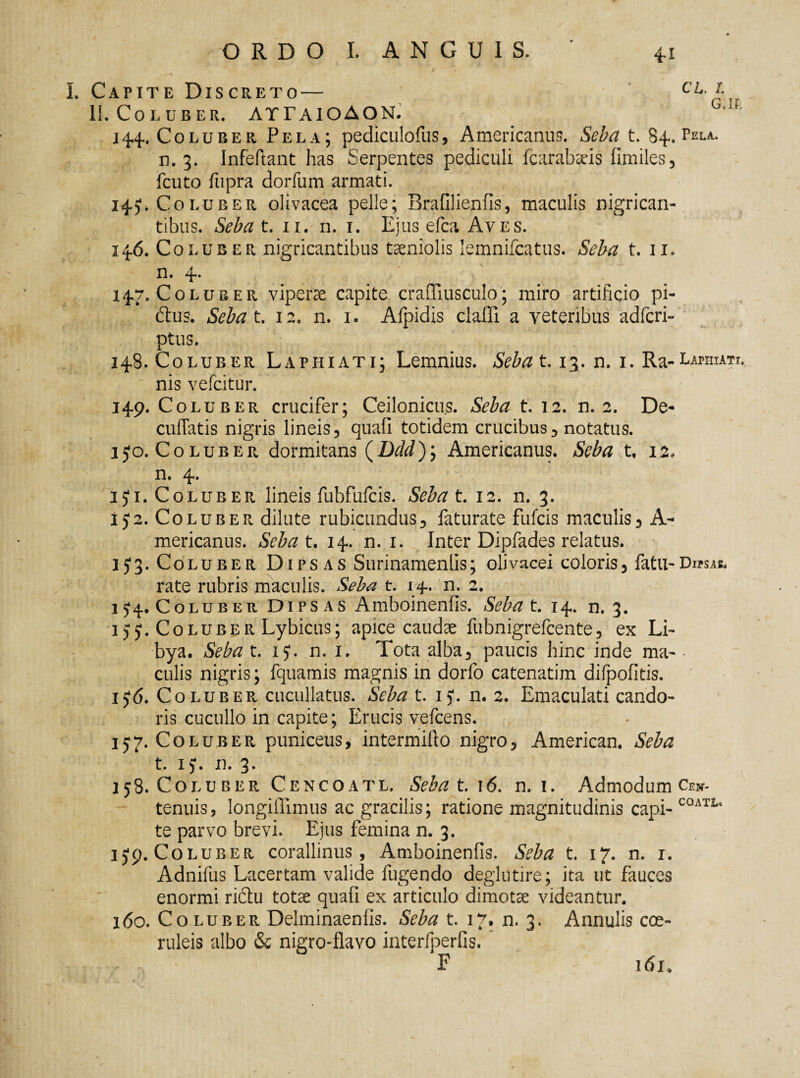 I. Capite Discreto— CLrn II. Coluber. ATTaioAON. 144. Coluber Pela; pediculofus, Americanus. Seba t. 84. Pela. n. 3. Infeftant has Serpentes pediculi fcarabseis fimiles, fcuto fupra dorfum armati. 14.J. Coluber olivacea pelle; Brafilienfis, maculis nigrican¬ tibus. Seba t. 11. n. 1. Ejus efca Aves. 14.6. Coluber nigricantibus taeniolis lemnifcatus. Seba t. 11. n. 4. ' 147. Coluber viperae capite craffiusculo; miro artificio pi- dtus. Sebat. 12. n. 1. Afpidis cladi a veteribus adfcri- ptus. 148. Coluber Laphiati; Lemnius. Sebat. 13. n. 1. Ra-Lapidati, nis yefcitur. 149. Coluber crucifer; Ceilonicus. Seba t. 12. n. 2. De- cuffatis nigris lineis, quali totidem crucibus, notatus. 150. Coluber dormitans Americanus. Seba t. 12* n. 4. -  'r[ 15*1. Coluber lineis fubfufcis. Sebat. 12. n. 3. ij2. Coluber dilute rubicundus, faturate fulcis maculis, A- mericanus. Sebat. 14. n. 1. Inter Dipfades relatus. IJ3. Coluber Dipsas Surinamenlis; olivacei coloris, fatu-Dipsas. rate rubris maculis. Seba t. 14.. n. 2. 1J4. Coluber Dipsas Amboinenfis. Sebat. 14. n. 3. 1)5*. Coluber Lybicus; apice caudae fubnigrefcente, ex Li¬ bya. Seba t. 15*. n. 1. Tota alba, paucis hinc inde ma- • culis nigris; fquamis magnis in dorfo catenatim difpofitis. i)6. Coluber cucullatus. Seba t. 15*. n. 2. Emaculati cando¬ ris cucullo in capite; Erucis vefcens. 157. Coluber puniceus, intermifto nigro, American. Seba t. ij. n. 3. 158. Coluber Cencoatl. Seba t. 16. n. 1. Admodum Cen- tenuis, longifiimus ac gracilis; ratione magnitudinis capi-C0ATia te parvo brevi. Ejus femina n. 3. ijp. Coluber corallinus, Amboinenfis. Seba t. 17. n. r. Adnifus Lacertam valide fligendo deglutire; ita ut fauces enormi ri&u totae quafi ex articulo dimotae videantur. 160. Coluber Delminaenfis. Seba t. 17* n. 3. Annulis coe¬ ruleis albo & nigro-flavo interfperfis. F 161.