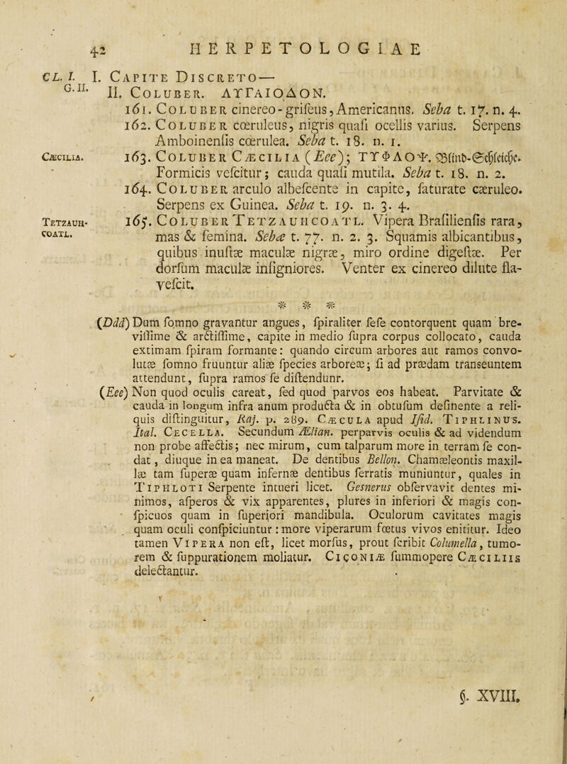 4-2 CL. I. I G. II. Oecilia. ) Tetzauh* COATL. . Capite Discreto — II. Coluber. ATTaioaon. % 161. Coluber cinereo - grifeus , Americanus, Seba t. 17. n. 4. 162. Coluber coeruleus, nigris quafi ocellis varius. Serpens Amboinenlis coerulea. Sebat. 18. n. 1. 163. Coluber Caecilia (Eee); TT^Aot. 93(m&-©c^(ctc^ Formicis vefcitur; cauda quali mutila. Sebat. 18. n. 2. 164. Coluber arculo albefcente in capite, faturate caeruleo. Serpens ex Guinea. Seba t. 19. n. 3. 4. 165*. Coluber Tetzauhcoatl. Vipera Brafilienfis rara, mas & femina. Seba t. 77. n. 2. 3. Squamis albicantibus, quibus inulte maculae nigrae, miro ordine digelte. Per dorfum maculae infigniores. Venter ex cinereo dilute fla- yefcit. # # % [Ddd) Dum fomno gravantur angues, fpiraliter fefe contorquent quam bre- vilfime & arbiffime, capite in medio fupra corpus collocato, cauda extimam fpiram formante: quando circum arbores aut ramos convo¬ lutae fomno fruuntur aliae fpecies arboreae; fi ad praedam transeuntem attendunt, fupra ramos fe diflendunr. {Eee) Non quod oculis careat, fed quod parvos eos habeat. Parvitate & cauda in longum infra anum produba & in obtufum delinente a reli¬ quis diflinguitur, Raj. p. 289. Cacula apud Ifid. Tiphlinus. Ital. Cecella. Secundum /Elian. perparvis oculis & ad videndum non probe affectis; nec mirum, cum talparum more in terram fe con¬ dat , diuque in ea maneat. De dentibus Bellon. Chamaeleontis maxil¬ lae tam fuperae quam infernae dentibus ferratis muniuntur, quales in Tiphloti Serpente intueri licet. Gesnerus obfervavit dentes mi¬ nimos, afperos & vix apparentes, plures in inferiori & magis con- fpicuos quam in fuperiori mandibula. Oculorum cavitates magis quam oculi confpiciuntur :more viperarum foetus vivos enititur. Ideo tamen Vipera non eft, licet morfus, prout fcribit Columella, tumo¬ rem & fuppurationem moliatur. C1 c 0 n i m. fummopere C /e c i l i i s delebantur. / §. XVIII.