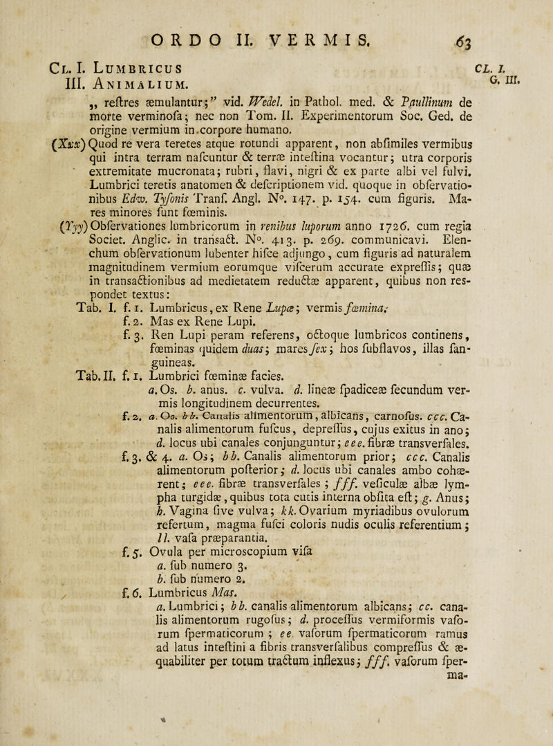 Cl. I. Lumbricus III. Animalium. „ reftres aemulantur;” vid. Wedel. in Pathol. med. & Paullinum de morte verminofa; nec non Tom. II. Experimentorum Soc. Ged. de origine vermium in .corpore humano. (Xxx) Quod re vera teretes atque rotundi apparent, non abfimiles vermibus qui intra terram nafcuntur & terrae inteflina vocantur; utra corporis extremitate mucronata; rubri, flavi, nigri & ex parte albi vel fulvi. Lumbrici teretis anatomen <St defcriptionem vid. quoque in obfervatio- nibus Edw. Tyfonis Tranf. Angi. N°. 147. p. 154. cum figuris. Ma¬ res minores funt foeminis. (Tyy) Obfervationes lumbricorum in renibus luporum anno 1726. cum regia Societ. Anglic* in trarisaCl. N°. 413. p. 269. communicavi. Elen¬ chum obfervationum lubenter hifce adjungo, cum figuris ad naturalem magnitudinem vermium eorumque vifcerum accurate expreflis; quae in transactionibus ad medietatem reduclae apparent, quibus non res¬ pondet textus: Tab. I. f. 1. Lumbricus, ex Rene Lupce; vermis f(Emina; f. 2. Mas ex Rene Lupi. f. 3. Ren Lupi peram referens, ocloque lumbricos continens, foeminas quidem duas, mares fex, hos fubflavos, illas fan- guineas. Tab. II. f. 1. Lumbrici foeminae facies. a. Os. b. anus. c. vulva, d. lineae fpadiceae fecundum ver¬ mis longitudinem decurrentes. f. z. a. Os. bb. Canalis alimentorum, albicans, carnofus. Ca¬ nalis alimentorum fufcus, depreffus, cujus exitus in ano; d. locus ubi canales conjunguntur; e e e. fibrae transverfales. £3. & 4. a. Os; bb. Canalis alimentorum prior; ccc. Canalis alimentorum pofterior; d. Jocus ubi canales ambo cohae¬ rent; e e e. fibrae transverfales ; fff. veficulae albae lym¬ pha turgidae,quibus tota cutis interna obfita eft; g. Anus; £. Vagina five vulva; kk. Ovarium myriadibus ovulorum refertum, magma fufci coloris nudis oculis referendum; 11. vafa praeparantia. £ 5. Ovula per microscopium vifa a. fub numero 3. b. fub numero 2. . £ 6. Lumbricus Mas. Lumbrici; bb. canalis alimentorum albicans; cc. cana¬ lis alimentorum rugofus; d. procefliis vermiformis vafo- rum fpermaticorum ; e e vaforum fpermaticorum ramus ad latus inreftini a fibris transverfalibus compreffus & ae¬ quabiliter per totum traClum inflexus; fff\ vaforum fper- ma- CL. 1.