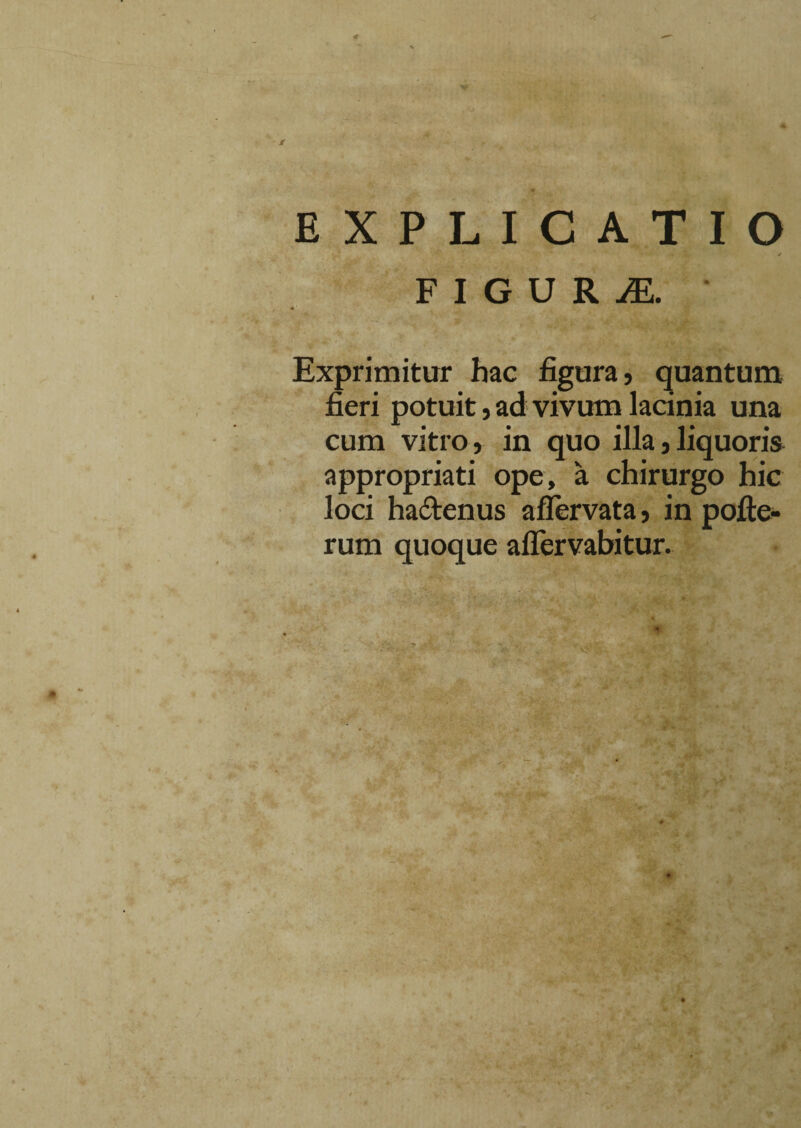 EXPLICATIO ✓ FIGURA * Exprimitur hac figura, quantum fieri potuit, ad vivum lacinia una cum vitro, in quo illa,liquoris appropriati ope, a chirurgo hic loci ha&enus aflervata, in pofte- rum quoque aflervabitur. 4. *