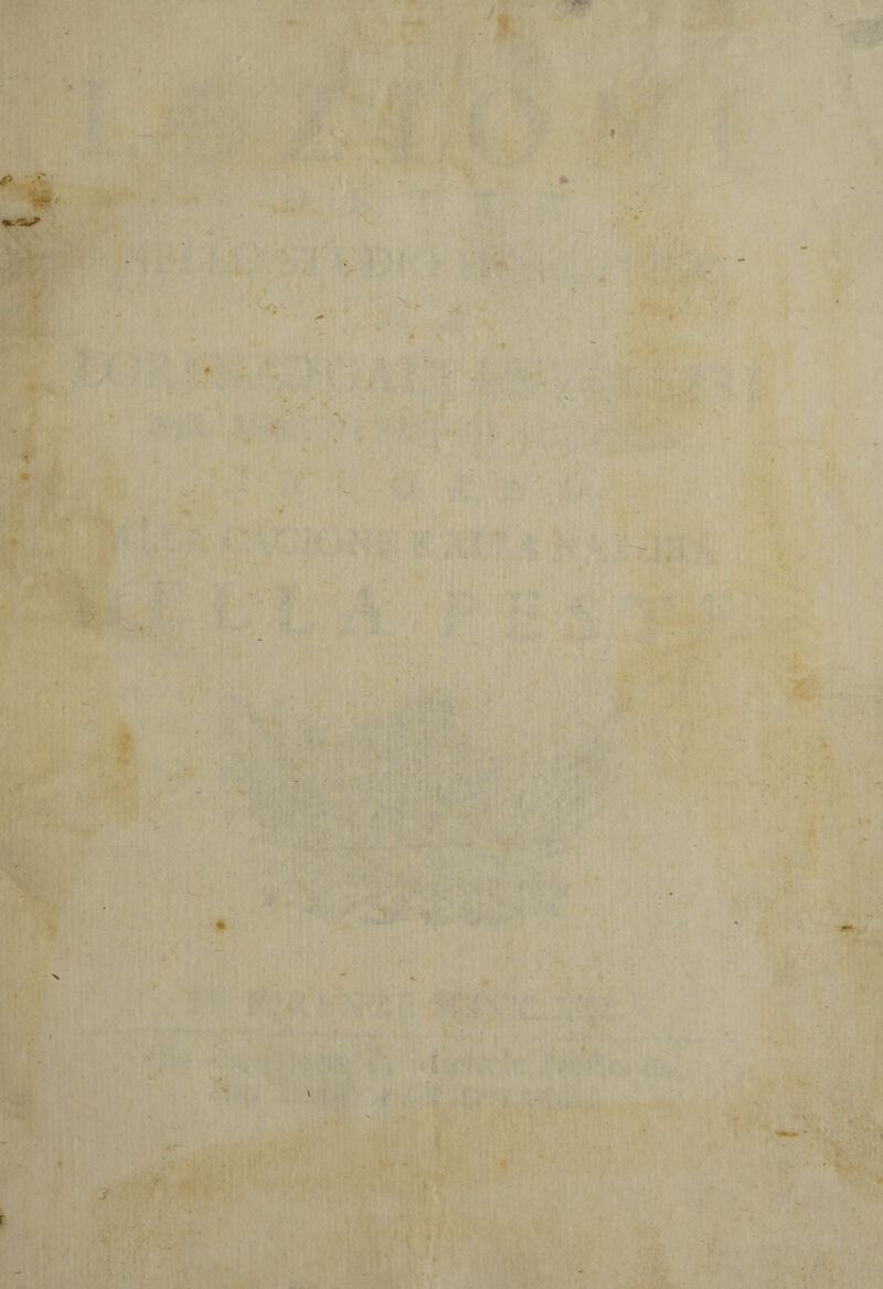 & , : ì‘> ' t • Cr> • > Jf- ■ V. . ; t ... . .. . ■ ' . • -• ) * * . ■ ... ■ 1 '■• . . '  » ■ / ft ■ . ■* IV- *' :-v '