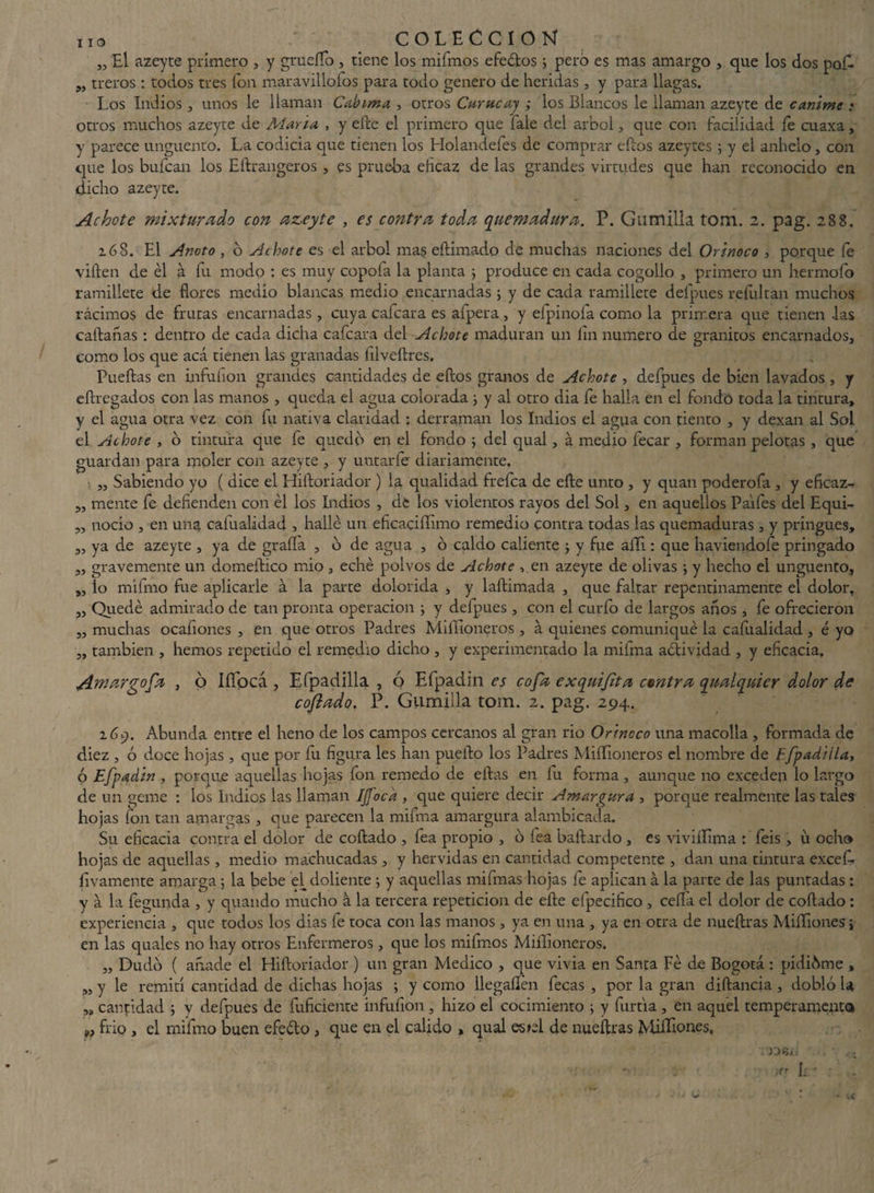 „ El azeyte primero , y grueífo , tiene los mifmos efedos; pero es mas amargo , que los dos poE w treros : todos tres fon maravillofos para todo genero de heridas , y para llagas. Los Indios , unos le llaman Cabima , otros Carne ay ; los Blancos le llaman azeyte de canime : otros muchos azeyte de Marta , y efte el primero que Tale del árbol, que con facilidad fe cuaxa, y parece ungüento. La codicia que tienen los Holandefes de comprar ellos azeytes ; y el anhelo , con que los bufcan los Eílrangeros , es prueba dicaz de las grandes virtudes que han reconocido en dicho azeyte. Achote mixturado con azeyte , es contra toda quemadura. P. Gumilla tom. 2. pag. 288. z68. El Anoto , o Achote es el árbol mas eftimado de muchas naciones del Orinoco > porque íé viften de él á fu modo : es muy copofa la planta 5 produce en cada cogollo , primero un hermofo ramillete de flores medio blancas medio encarnadas ; y de cada ramillete deípues reíultán muchos rácimos de frutas encarnadas , cuya cafcara es afpera, y efpinofa como la primera que tienen -las callarías : dentro de cada dicha cafcara del Achote maduran un íin numero de granitos encarnados, como los que acá tienen las granadas íilveílres. Fuellas en infuíion grandes cantidades de ellos granos de Achote , defpues de bien lavados , y eílregados con las manos , queda el agua colorada y al otro dia fe halla en el fondo toda la tintura, y el agua otra vez con fu nativa claridad : derraman los Indios el agua con tiento , y dexan al Sol el Achote , o tintura que fe quedo en el fondo ; del qual, á medio fecar , forman pelotas , que guardan para moler con azeyte , y untarle diariamente. „ Sabiendo yo ( dice el Hiíloriador ) la qualidad frefea de elle unto , y quan poderofa , y eficaz- „ mente fe defienden con él los Indios , de los violentos rayos del Sol, en aquellos Paifes del Equi- „ nocio , en una cafualidad , hallé un eficacifíimo remedio contra todas las quemaduras , y pringues, ,, ya de azeyte , ya de grafía , o de agua , ó caldo caliente ; y fue afíi : que haviendofe pringado „ gravemente un domeílíco mió , eché polvos de Achote ven azeyte de olivas ; y hecho el ungüento, „ lo miírno fue aplicarle á la parte dolorida , y laílimada , que faltar repentinamente el dolor, „ Quedé admirado de tan pronta operación j y defpues , con el curfo de largos anos , fe ofrecieron „ muchas ocafiones , en que otros Padres Miífioneros , á quienes comuniqué la cafualidad , é yo „ también , hemos repetido el remedio dicho , y experimentado la milma adividad , y eficacia. Amar gofa , ó lífocá , Efpadilla , q Efpadin es cofa exquifita centra qualquier dolor de cofiado. P. Gumilla tom. 2. pag. 294. 269. Abunda entre el heno de los campos cercanos al gran rio Orinoco una macolla , formada de diez , ó doce hojas , que por fu figura les han pueílo los Padres Miííioneros el nombre de Ffpadiila, ó Efpadin , porque aquellas hojas fon remedo de ellas en fu forma , aunque no exceden lo largo de un geme : los Indios las llaman IJJoca , que quiere decir Amargura , porque realmente las tales hojas fon tan amargas , que parecen la mifma amargura alambicada. Su eficacia contra el dolor de collado , fea propio , 6 fea baílardo , es vivifíima : feis, u ocho hoj as de aquellas, medio machucadas , y hervidas en cantidad competente , dan una tintura excef. livamente amarga ; la bebe el doliente ; y aquellas mifmas hojas fe aplican á la parte de las puntadas : y á la fegunda , y quando mucho á la tercera repetición de elle efpecifico , cefía el dolor de collado : experiencia , que todos los dias fe toca con las manos , ya en una , ya en otra de nueílras Mifíiones \ en las quales no hay otros Enfermeros , que los mifmos Miííioneros. „ Dudo ( añade el Hiíloriador ) un gran Medico , que vivia en Santa Fé de Bogotá : piditSme , „ y le remití cantidad de dichas hojas ; y corno llegafíén fecas , por la gran diílancia , dobló U „ cantidad ; y defpues de fuficiente infuíion, hizo el cocimiento ; y furtía , en aquel temperamento frío , el mífmo buen efedo , que en el calido , qual estel de nueílras Mifíiones, ,V 1 *'■ f ‘.í , * -' ' ' ' / ' : ¡rr í. • • ' * •<