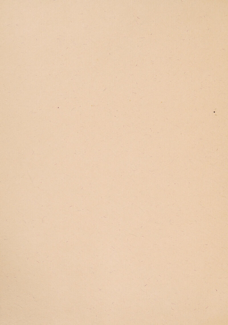 / I / / >* I V. T-' / / v • / / :x \ / / /• N / / /