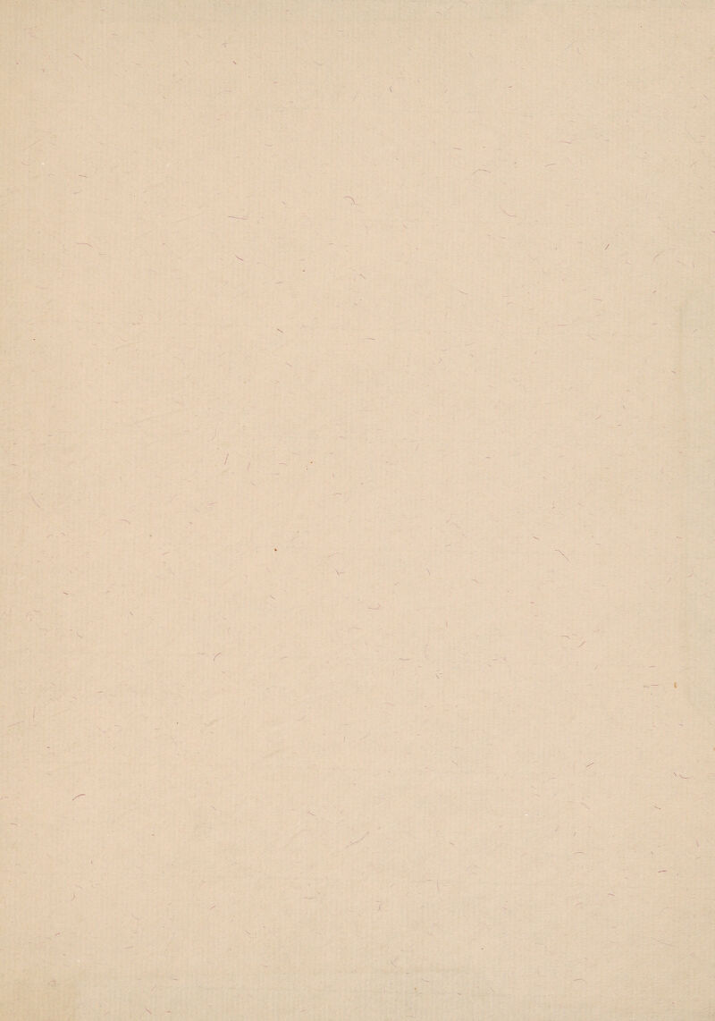 1 N \ \ < \ \ / V \ V \ i ) 1 •-V 1 s i \ ( \ \ \ K \ n \ • \ \ / ' r i_> i V M. t I \ \ m i ; K . ■ >. / >' V- l < \ \