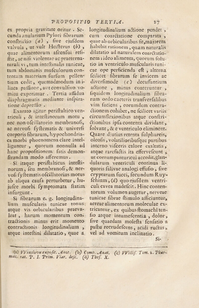 ex propria gravitate oritur . SC' eunda anularium Pylori fibrarum conftridio (^) 5 five ejufdem valvula 5 ut vult Heifferus (b) , quae alimentorum afcenfui refi- ftit, ac nifi violentae ac praeterna- rurali vi, tum inteffmalis tunicae^ tum abdominis mufculorum con¬ tentam materiam furfum pellen¬ tium cedit, quemadmodum in P liaca pallione 5 aut convulfivo vo¬ mitu experimur . Tertia allidiia diaphragmatis mediante infpira- tione depreliio . Exarato igitur periftaltico ven¬ triculi , & inteftinorum motu , nec non ofcillatorio membranoG, ac nervofi fyflematis univerfi corporis fibrarum, hypochondria-^ ca morbi phoenomena clare intel- liguntur , quorum nonnulla ad hanc propofitionem fatis demon- ftrandam modo afferemus. Si itaque periftalticus intefth norum, feu membraiiofi , & ner- vofi fyftematis ofcillatorius motus ab aliqua caufa perturbetur, hu- jufce morbi fymptomata ftatim infurgunt. Si librarum e. g. longitudina¬ lium mufcularis tunicae tonus, atque vis orbicularibus praeva¬ leat , harum momentum con- trad:ionis minus erit momento contracdionis longitudinalium , atque inteftini dilatatio, quae a longitudinalium adlione pendet 5. cum coardlatione comparata , quae ab orbicularibus fit,majorem habebit rationem , quam naturalis dilatatio ad naturalem coardfatio- nem i ideo alimenta, quorum folu- tio in ventriculo mufcularis tuni¬ cae ope perficienda eft , alterna fcilicet fibrarum fe invicem ac diverfimode (c)’ decuffantium adfione , minus conteruntur , fiquidem longitudinalium fibra¬ rum ordocaeteris tranfveiTalibus vim faciens , eorumdem contra- dlionem cohibet, ne fcilicet variis circumflexionibus atque conftri- dlionibus ipfacontenta dividant,, folvant, & e ventriculo eliminent. Quare diutius retenta fulpbureis, oleofis, volatilioribufque partibus interno vifceris calore exaltatis, atque rarefaiflis ita effervefciint , ut corrumpanturjcui accedit,glam dularum ventriculi continua li¬ quoris falivae analogi effufio , five cryptarum fucci, fecundum R.uy- fcbium,(cf) quo ejufdem ventri¬ culi cavea madefeit. Hinc conten¬ torum volumen augetur, nerveae tunicae fibrae ftimulo afficiuntur, aereae alimentorum moleculae ex¬ tricantur, ex quibus ftomachi ten- fio atque intumefeentia , dolor, five quaedam molefta fenfatio a paftu recrudefeens, acidi rudus,, vel ad vomitum inclinatio. Si- (a) yVinslQ>vu expoftt. ^not. (h) Comp. ^nat. fc) VVUlif. Tom, z. Th/iiw mac. rat. T. l Tr/m. VUr, deje, (dj Tbef X,