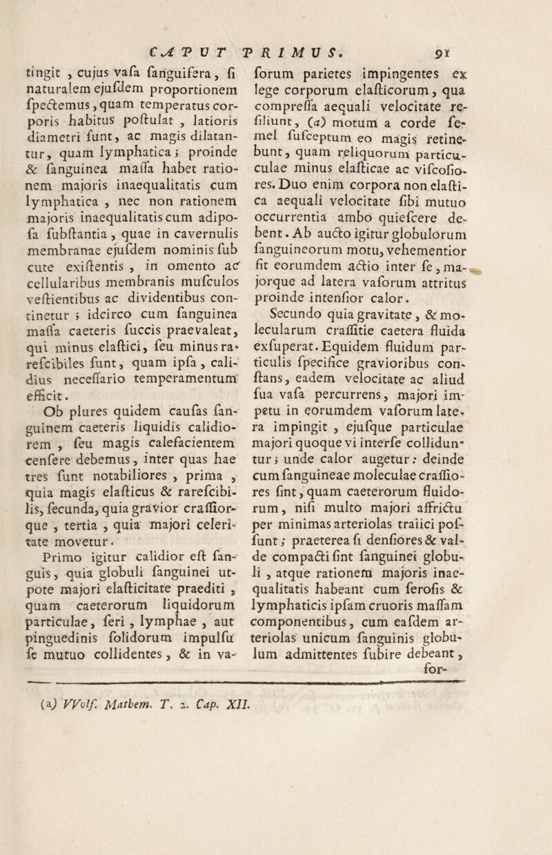 tingit , cujus vafa fanguifera, fi naturalem ejufiiem proportionem fpedemus, quam temperatus cor¬ poris liabitus poftulat , latioris diametri lunt, ac magis dilatan¬ tur, quam lymphatica; proinde & fanguinea maiTa habet ratio^ nem majoris inaequalitatis cum lymphatica , nec non rationem majoris inaequalitatis cum adipo- fa fubftantia , quae in cavernulis membranae ejufdem nominis fub cute exiftentis , in omento acT cellularibus membranis mufculos veflientibus ac dividentibus con¬ tinetur ; idcirco cum fanguinea malTa caeteris fuccis praevaleat, qui minus elaftici, feu minus ra* refciblles funt, quam ipfa , cali¬ dius neceflario temperamentum’ efficit. Ob plures quidem caufas fan- guinem caeteris liquidis calidio¬ rem , feu magis calefacientem cenfere debemus, inter quas hae tres funt notabiliores , prima , quia magis elafticus & rarefcibi- lis, fecunda, quia graVior craffior- que , tertia , quia majori celeri¬ tate movetur« Primo igitur calidior efi: fan- guis 5 quia globuli fanguinei ut- pote majori elafticitare praediti , quam caeterorum liquidorum particulae, feri , lymphae , aut pinguedinis folidorum impulfil fe mutuo collidentes, & in va- forum parietes impingentes ex lege corporum elafticorum, qua comprefla aequali velocitate re- filiunt, (a') motum a corde fe- mei fuffieptum eo magis retine¬ bunt , quam reliquorurrt particu.- culae minus elafticae ac vifcofio- res. Duo enim corpora non elafti- ca aequali velocitate fibi mutuo occurrentia ambo quiefcere de¬ bent. Ab audo igitur globulorum fanguineorum motu, vehementior fit eorumdem adio inter fe,ma- jorque ad latera vaforum attritus proinde intenfior calor. Secundo quia gravitate, & mo- lecularum craffitie caetera fluida exfuperat. Equidem fluidum par¬ ticulis fpecifice gravioribus con¬ flans, eadem velocitate ac aliud fua vafa percurrens, majori im¬ petu in eorumdem vaforum late, ra impingit , ejufque particulae majori quoque vi interfe collidun¬ tur; unde calor augetur : deinde cum fanguineae moleculae craffio- res fint,quam caeterorum fluido¬ rum , nifi multo majori affridu per minimas arteriolas traiici pof- funt; praeterea fi denfiores& val¬ de compadifint fanguinei globu¬ li , atque rationem majoris inae¬ qualitatis habeant cum ferofis & lymphaticis ipfamcruoris maflam componentibus 3 cum eafdem ar¬ teriolas unicum fanguinis globu¬ lum admittentes fubire debeant, for-
