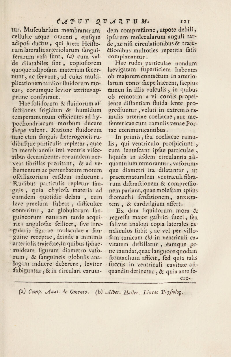 ca T V T 0 V ^y£ R T V tit tur. Mufciilarlum membranarum cellulae atque omenti , ejufque adipofi dudus, qui juxta Heifte- rum lateralia arteriolarum fangui- ferarum vafa funt, (a) cum val¬ de dilatabiles fint , copiofiorem quoqueadipofam materiam fecer- nunt, ac fervant, ad cujus multi¬ plicationem tardior fluidorum mo¬ tus , eorumque levior attritus ap¬ prime confpirant. Haefolidorum & fluidorum af- fefliones frigidum & bumidum temperamentum efficientes ad hy¬ pochondriacum morbum ducere faepe valent. Ratione fluidorum tunc cUm fanguis heterogeneis rii- dibufque particulis repletur, quae in membranofls imi ventris vifce- ribus decumbentes eorumdem ner- veas fibrillas proritant, & ad ve¬ hementem ac perturbatum motum ofcillatorium eafdem inducunt . ■ Rudibus particulis repletur fan- guis 5 quia chylofa materia ad eumdem quotidie delata , cum leve praelum fubeat , difficulter conteritur , ac globulorum fan- guineorum naturam tarde acqui¬ rit j angulofac fcilicet, five irre- ‘ - gularis figurae molsculae a fan- guine receptae, deinde a minimis • arteriolis trajedlaejin quibus fphae. ■ roideam figuram diametro vafb- rum , & fanguineis globulis ana¬ logam induere deberent, leviter fubigunturj&in circulari earuin- dem compreflione,utpote debili, ipfarum molecularum anguli tar¬ de , ac nifi circulationibus & traje¬ ctionibus multoties repetitis fatis complanantur. Hae rudes particulae nondum laevigatam fuperficiem habentes ob majorem contaCtum in arterio¬ larum conis faepe haerent, faepius tamen in illis vafculis, in quibus ob remotam a vi cordis propel¬ lente diftantiam fluida lente pro¬ grediuntur ,veluti in extremis ra¬ mulis arteriae coeliacae, aut me- lentericae cum ramulis venae Por¬ tae communicantibus. In primis,feu coeliacae ramu¬ lis, qui ventriculo profpiciunt , cum lentefcant ipfae particulae , liquida in iifdem circulantia ali¬ quantulum remorantur, vaforum- que diametri ita dilatantur , ut praeternaturalem ventriculi Abra¬ rum difiraClionem & compreflio- nem pariant, quae moleflam ipfiiis ftomachi fenfationem, anxieta¬ tem , & cardialgiam affert. Ex data liquidorum mora dc regreffu major gaflrici fucci, feu falivae analogi copia laterales ca¬ naliculos fiibit , ac vel per viilo- fam tunicam (b) in ventriculi ca¬ vitatem deftillatur , eamque pe¬ ne inundat,quae languore quodam llomachiim afficit, fed quia talis fuccus in ventriculi cavitate ali- quandiii detinetur, 8c quia ante fe- cre^ (^) Comp. de Omento» (h) Ulber, ILtller, Lineae Thyfiolo^»