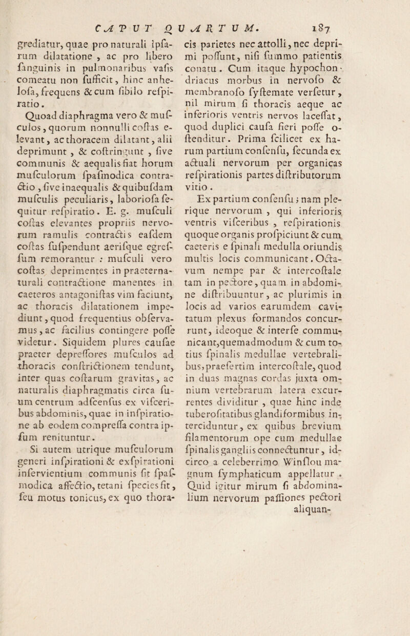 grediatur, quae pro naturali ipfa- rum dilatatione , ac pro libero fanguinis in pulmonaribus vafis comeatu non fufficit, hinc anhe- lofa, frequens &cum fibiio refpi- ratio. Quoad diaphragma vero & muf- culos, quorum nonnulli collas e- levant, ac thoracem dilatant, alii deprimunt , & coftringunt , five communis & aequalis fiat horum murculorum fpafmodica contra- sfi:io 5 five inaequalis &quibufdani mufculis peculiaris, laboriofafe- quitur refpiratio. E. g. mufculi cofras elevantes propriis nervo¬ rum ramulis contradis eafdem collas fufpendunt aerifque egref- fum remorantur : mufcLili vero coflas deprimentes in praeterna- turali contradione manentes in caeteros antagonillas vim faciunt, ac thoracis dilatationem impe¬ diunt, quod frequentius obferva- mus,ac facilius contingere pofie videtur. Siquidem pliires caiifae praeter deprelTores mufc.ulos ad thoracis conflridionem tendunt, inter quas collarum gravitas, ac naturalis diaphragmatis circa fu- um centrum adfcenfus ex vifceri- bus abdominis, quae in infpiratio- ne ab eodem comprefla contra ip- fum renituntur. Si autem utrique mufculorum generi infpiratloni & exfpirationi infervientium communis fit fpat modica alfeftio, tetani fpeciesfit, feu motus tonicus, ex quo thora- cis parietes nec attolli, nec depri¬ mi poOunt, nifi fummo patientis conatu. Cum itaque hypochon' driacus morbus in nervofo & membranofo fyllemate verfetur, nil mirum fi thoracis aeque ac inferioris ventris nervos lacelTat, quod duplici caufa fieri pofie o- llenditur. Prima fcilicet ex ha¬ rum partium confenfu, fecunda ex aduali nervorum per organicas refpirationis partes diftributorum vitio. Ex partium confenfu j nam ple- rique nervorum , qui inferioris ventris vifceribus , refpirationis quoque organis profpiciunt & cum caeteris efpinali medulla oriundis multis locis communicant. Oda- vum nempe par & intercoflale tam in pedore, quam in abdomi¬ ne diftribuuntur, ac plurimis in locis ad varios earumdem cavi¬ tatum plexus formandos concur¬ runt, ideoque & interfe commu¬ nicant,quemadmodum & cum to¬ tius fninalis medullae vertebrali- i busjpraefertim intercoflale,quod in duas magnas cordas juxta om¬ nium vertebrarum latera excur¬ rentes dividitur , quae hinc inde tiiberofitatibus glandiformibus in-, terciduntur, ex quibus brevium filamentorum ope cum medullae fpinalisgangliisconneduntur, id¬ circo a celeberrimo Winfiou ma¬ gnum fymphaticum appellatur . Quid igitur mirum fi abdomina¬ lium nervorum paffiones pedori ali qua n-