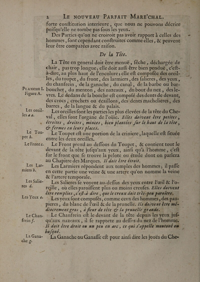 Planche I. Figure A. Les oreil¬ les a a. Le Tou¬ pet b. Le Front c. Les Lar¬ miers h. Les Saliè¬ res d. Les Yeux e. Le Chan¬ frein/. La Gana- che g. i Le nouveau Parfait Mare’chal. forte conftitution intérieure, que nous ne pouvons décrire puifqu’elle ne tombe pas fous les yeux. Des Parties qu’on ne croiroit pas avoir rapport à celles des hommes, font cependant conftruites comme elles, 6c peuvent leur être comparées avec raifon. De U Tête. La Tête en general doit être menue , féche , déchargée de chair, pas trop longue* elle doit auffi être bien pendue, c’eft- à-dire, au plus haut de l’encolure j elle eft compofée des oreil¬ les , du toupet, du front, des larmiers, des falieres, des yeux, du chanfrein , de la ganache , du canal, de la barbe ou bar- bouchet, du menton , des nazeaux , du bout du nez , des lè¬ vres. Le dedans de la bouche eft compofé des dents de devant, des crocs , crochets ou écaillons, des dents machelieres, des barres , de la langue 6c du palais. Les oreilles font les parties les plus élevées de la tête du Che¬ val , elles font l’organe de l’oiiie. Elles doivent être petites, étroites , droites, minces, bien plantées fur le haut de la tête, & fermes en leurs places. Le Toupet eft une portion de la crinière, laquelle eft fituée entre les deux oreilles. Le Front prend au deftous du Toupet, 6c contient tout Je devant de la tête jufqu’aux yeux, ainli qu’à l’homme, c’eft fur le front que fe trouve la pelote on étoile dont on parlera au Chapitre des Marques. Il doit être étroit. Les Larmiers répondent aux temples des hommes* il pafte en cette partie une veine 6c une artere qu’on nomme la veine 6c l’artere temporale. Les Salières fe voyent au-defïùs des yeux entre l’œil 6c l’o- redle , où elles paroiffent plus ou moins creufes. Elles doivent être remplies , c eft-a dire , que le creux doit tres-peu paroître. Les yeux font compofés, comme ceux des hommes, des pau¬ pières , du blanc de l’œil 6c de la prunelle. Ils doivent être mé¬ diocrement gros , a fleur de tête & la prunelle grande. Le Chanfrein eft le devant de la tête depuis les yeux juL* qu’aux nazeaux, il fe rapporte au deffùs du nez de l’homme. Il doit être droit ou un peu en arc, ce qui s'appelle moutoné on bufqué. La Ganache ou Ganafle eft pour ainfi dire les joues du Che*