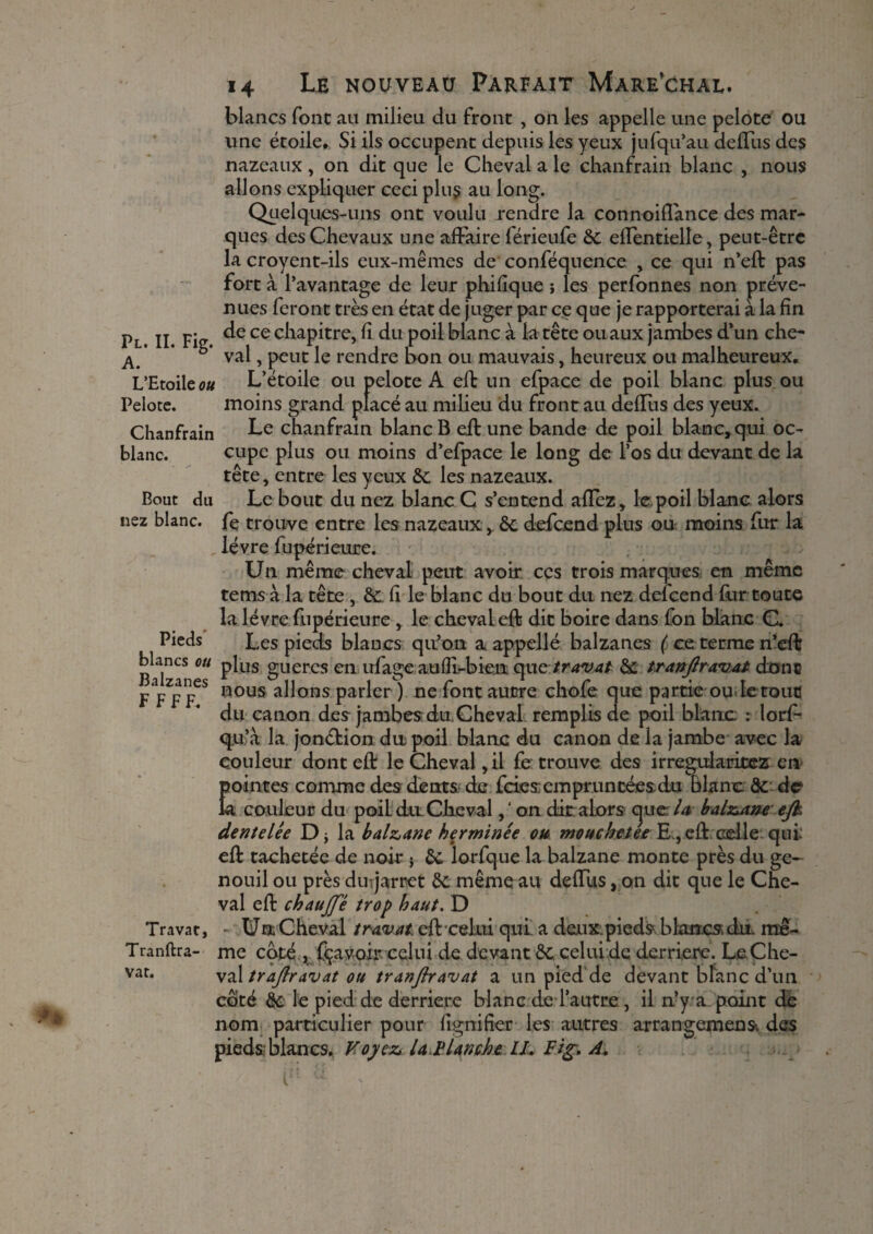 blancs font au milieu du front , on les appelle une pelote ou une étoile. Si ils occupent depuis les yeux jufqu’au deffus des nazeaux, on dit que le Cheval a le chanfrain blanc , nous allons expliquer ceci plus au long. Quelques-uns ont voulu rendre la connoifîance des mar¬ ques des Chevaux une affaire férieufe de effentielle, peut-être la croyent-ils eux-mêmes de conféquence , ce qui n’eft pas fort à l’avantage de leur phifique i les perfonnes non préve¬ nues feront très en état de juger par ce que je rapporterai à la fin Pl II Fi2 ce c^iaP^tre> fi du poil blanc à la tête ou aux jambes d’un che- A ‘ * val, peut le rendre bon ou mauvais, heureux ou malheureux. L’Etoile ou L’étoile ou pelote A efb un efpace de poil blanc plus ou Pelote. moins grand placé au milieu du front au deflus des yeux. Chanfrain Le chanfrain blanc B eff une bande de poil blanc, qui oc- blanc. cupe plus ou moins d’efpace le long de l’os du devant de la tête, entre les yeux de les nazeaux. Bout du Le bout du nez blanc C s’entend affez, le poil blanc alors nez blanc, fç trouve entre les nazeaux, de defeend plus ou moins fur la lèvre fupérieure. Un même cheval peut avoir ces trois marques en même tems à la tête , de fi le blanc du bout du nez defeend fur toute la lèvre fupérieure , le cheval eft dit boire dans fon blanc C. Les pieds blancs qu’on a appellé balzanes ( ce terme n’eff blancs ou p[lls g-uercs en ufaire aufîi-bien çmetravAt & tranjlravat àont nous allons parler ) ne font autre choie que pâme ou Le tout du canon des jambes du.Cheval remplis de poil blanc : îorf- qu’à la jonction du poil blanc du canon de la jambe avec la couleur dont eff le Cheval ,il fe trouve des irrégularités en pointes comme des dents de feies empruntées du blanc de de la couleur du poiL du Chevalon dit:alors cpe la balzane ejk dentelée D, la balzane herminée ou moucketee E., eff celle, qui eff tachetée de noir } de lorfque la balzane monte près du ge- nouil ou près duijarret de même au deffus, on dit que le Che¬ val eff chaujfê trop haut. D - Un Cheval traruat eff celui qui a deux.pieds blan.es. du me¬ me coté , fçavoir celui de devant de celui de derrière. Le Che- val trajlravat ou tranfiravat a un pied de devant bfanc d’un coté de le pied de derrière blanc de l’autre, il n’y a. point dé nom particulier pour lignifier les autres arrangement des an es. Voyez la,Planche IL Fig-. Pieds ancs ou Balzanes F FFF. Travat, Tranftra- var.