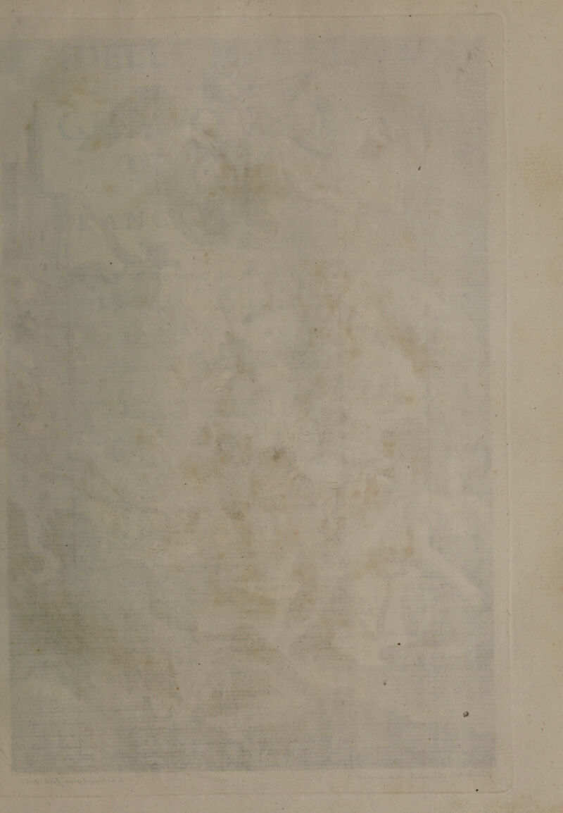 . . . ■ . ■ • « ' - _ ■ ns|! i . ■ . • .