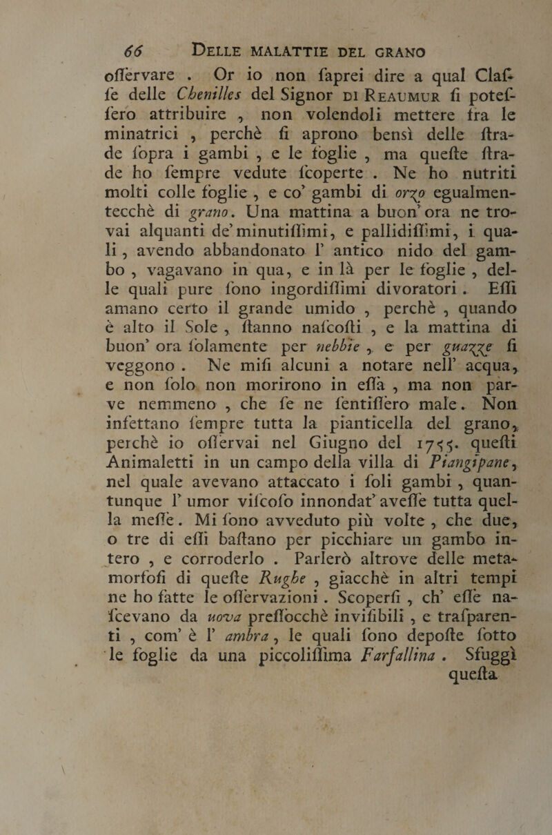 otlèrvare . Or io non faprei dire a qual Clafc fe delle Cbenilles del Signor di Reaumur fi potef- fero attribuire , non volendoli mettere tra le minatrici , perchè fi aprono bensì delle fira¬ de fopra i gambi , e le tòglie , ma quelle ftra- de ho tèmpre vedute ficoperte . Ne ho nutriti molti colle tòglie , e co’ gambi di or%o egualmen- tecchè di grano. Una mattina a buon ora ne tro¬ vai alquanti de’minutillìmi, e pallidiflimi, i qua¬ li , avendo abbandonato P antico nido del gam¬ bo , vagavano in qua, e in là per le tòglie , del¬ le quali pure tono ingordiflìmi divoratori . Etlì amano certo il grande umido , perchè , quando è alto il Sole , fianno naficofii , e la mattina di buon' ora fidamente per nebbie , e per gnagge fi veggono . Ne miti alcuni a notare nell’ acqua, e non bolo non morirono in efià , ma non par¬ ve nemmeno , che fe ne fientifièro male. Non infettano tèmpre tutta la pianticella del grano, perchè io otlervai nel Giugno del 17^5. quefti Animaletti in un campo della villa di Piangi pane, nel quale avevano attaccato i foli gambi , quan¬ tunque F umor vifcofo innondai avelie tutta quel¬ la mefiè. Mi tòno avveduto più volte, che due, o tre di efli battano per picchiare un gambo in¬ tero , e corroderlo . Parlerò altrove delle meta- mortoti di quelle Rughe , giacche in altri tempi ne ho fatte le ofièrvazioni . Scoperti , eh’ etlè na- fcevano da uova preflòcchè invitibili , e trafparen- ti , confi è f ambra, le quali fono depofie fotto le foglie da una piccolitlìma Farfallina . Sfuggì quella