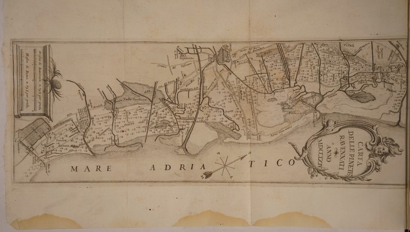 iteli aCe^lla, ■eltU(k f-Q' di Èi rvicL