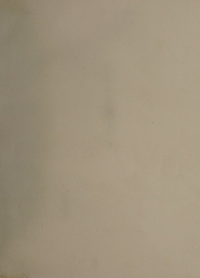 digitised image 3
