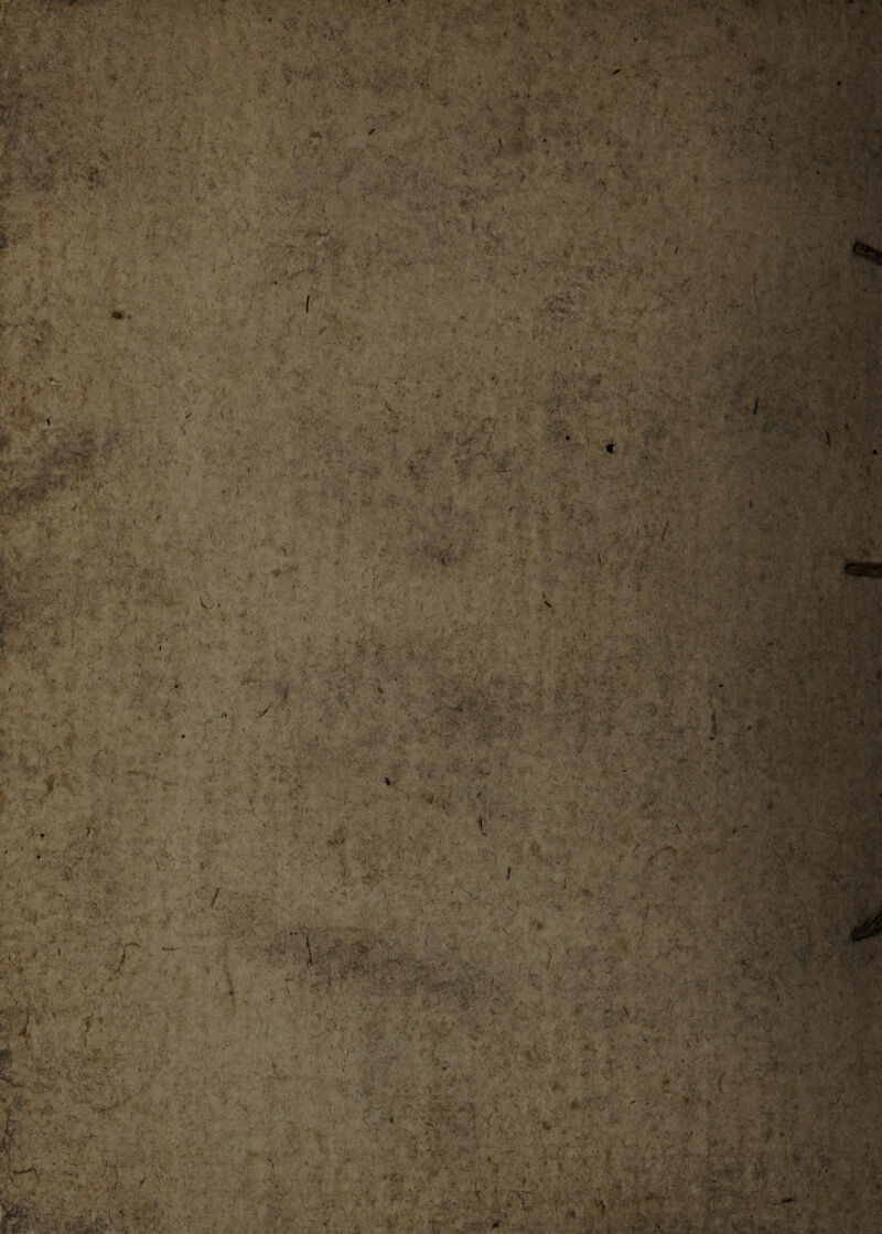 A / *T