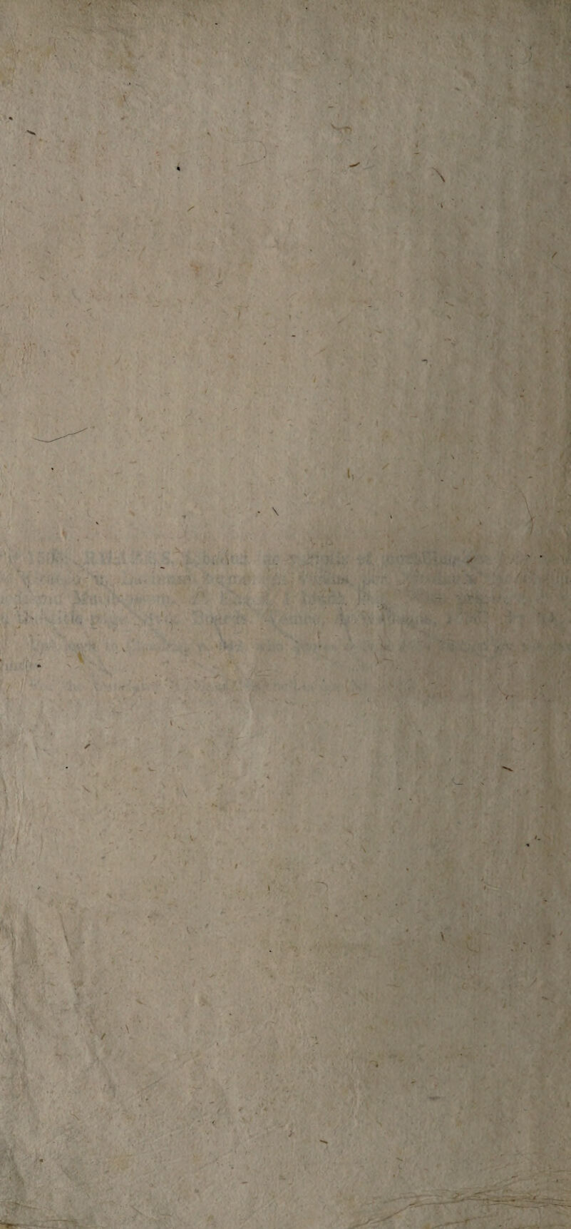 > X / ' v • v »» \ V _ir