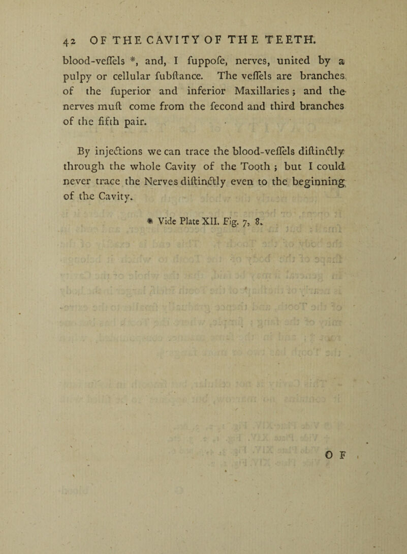 blood-veflels *, and, I fuppofe, nerves, united by a pulpy or cellular fubflance. The veflels are branches of the fuperior and inferior Maxillaries; and the nerves mull come from the fecond and third branches of the fifth pair. By injections we can trace the blood-veflels diftincftly through the whole Cavity of the Tooth 5 but I could never trace the Nerves diftinCtly even to the beginning of the Cavity. * Vide Plate XII. Fig. 7, B. 0 F * V