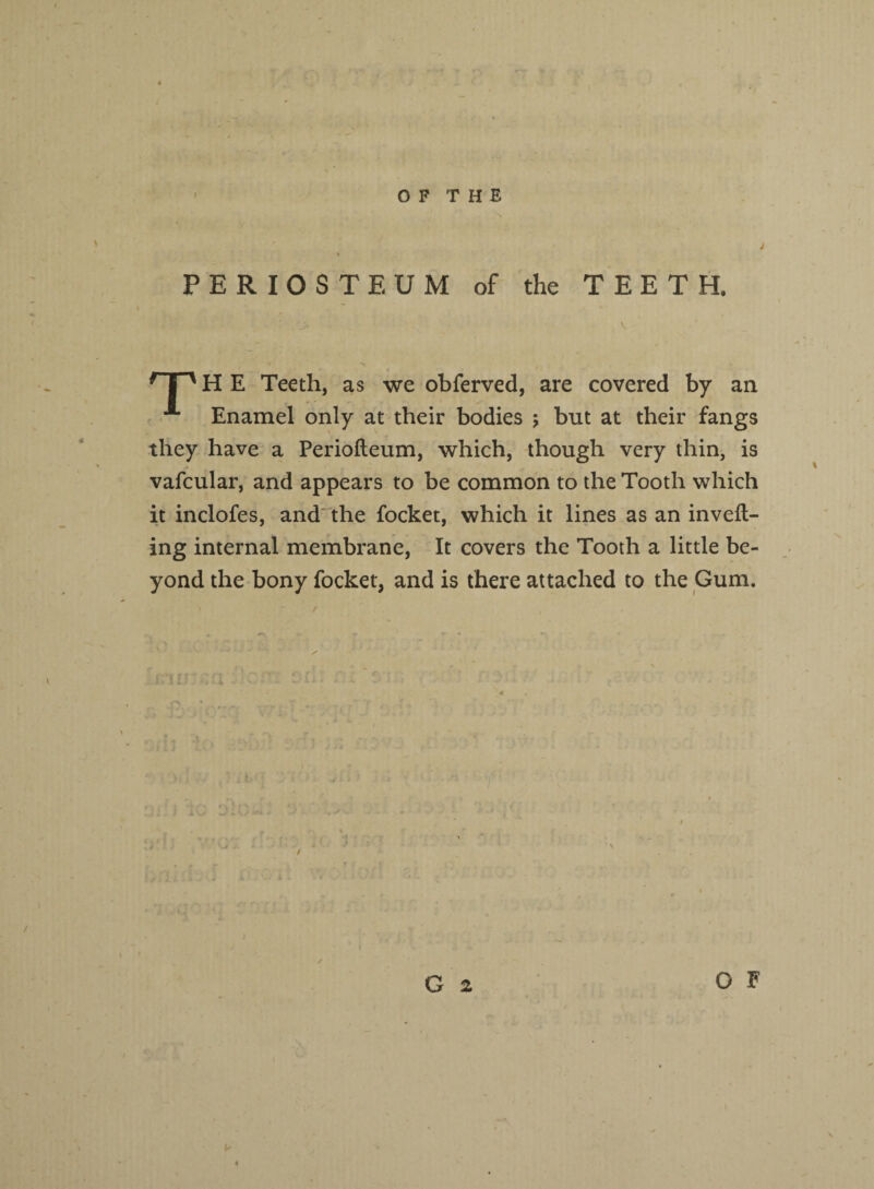 I O F T H E PERIOSTEUM of the TEETH. H E Teeth, as we obferved, are covered by an x Enamel only at their bodies ; but at their fangs they have a Periofteum, which, though very thin, is vafcular, and appears to be common to the Tooth which it inclofes, and the focket, which it lines as an invert¬ ing internal membrane, It covers the Tooth a little be¬ yond the bony focket, and is there attached to the Gum. O F G 2
