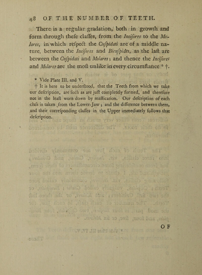 There- is a regular gradation, both in growth and form through thefe clafTes, from the Incifores to the Mo- lares, in which refpetd the Cufpidati are of a middle na¬ ture, between the Incifores and Bicufpides, as the lafl are between the Cufpidati and Molares; and thence the Incifores and Molares are the mod unlike in every circumdance * j\ * Vide Plate III. and V. f It is here to be underftood, that the Teeth from which we take our defcription, are fuch as are juft completely formed, and therefore not in the leaft worn down by maftication. Our defcription of each clafs is taken from the Lower-Jaw ; and the difference between them* and their correfponding clafTes in the Upper immediately follows that defcription.