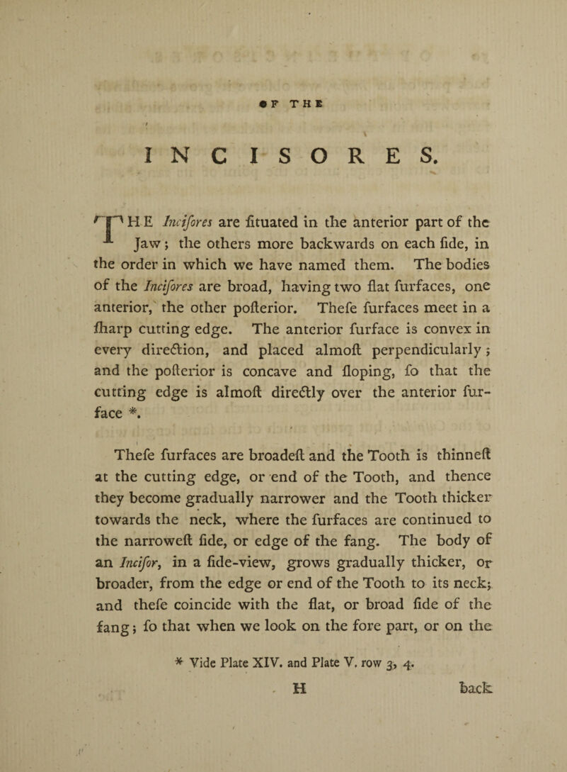I N C I S O R E S. r|n H E Incifores are fituated in the anterior part of the Jaw; the others more backwards on each fide, in the order in which we have named them. The bodies of the Incifores are broad, having two flat furfaces, one anterior, the other poflerior. Thefe furfaces meet in a fharp cutting edge. The anterior furface is convex in every direction, and placed almoft perpendicularly; and the poflerior is concave and Hoping, fo that the cutting edge is almoft dire&ly over the anterior fur- face *. * » i _ ■ ■ - » Thefe furfaces are broadeft and the Tooth is thinneft at the cutting edge, or end of the Tooth, and thence they become gradually narrower and the Tooth thicker towards the neck, where the furfaces are continued to the narroweft fide, or edge of the fang. The body of an Incifor, in a fide-view, grows gradually thicker, or broader, from the edge or end of the Tooth to its neck; and thefe coincide with the flat, or broad fide of the fang; fo that when we look on the fore part, or on the * Vide Plate XIV. and Plate V. row 3, 4. . H back