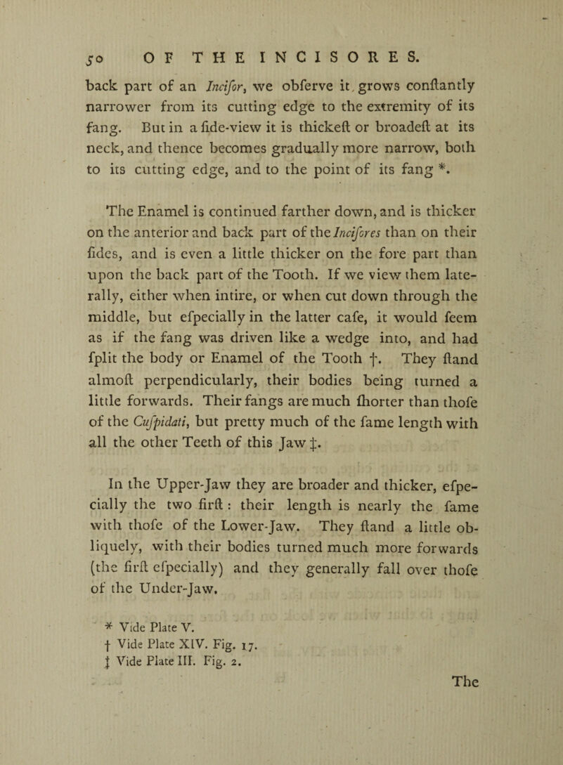 back part of an Incifor, we obferve it grows conftantly narrower from its cutting edge to the extremity of its fang. Butin afide-view it is thickeft or broadeft at its neck, and thence becomes gradually more narrow, both to its cutting edge, and to the point of its fang *. The Enamel is continued farther down, and is thicker on the anterior and back part of thelncifores than on their fides, and is even a little thicker on the fore part than upon the back part of the Tooth. If we view them late¬ rally, either when intire, or when cut down through the middle, but efpecially in the latter cafe, it would feem as if the fang was driven like a wedge into, and had fplit the body or Enamel of the Tooth f. They Hand almoft perpendicularly, their bodies being turned a little forwards. Their fangs are much (horter than thofe of the Cufpidati, but pretty much of the fame length with all the other Teeth of this Jaw J. In the Upper-Jaw they are broader and thicker, efpe¬ cially the two firft : their length is nearly the fame with thofe of the Lower-Jaw. They Hand a little ob¬ liquely, with their bodies turned much more forwards (the firft efpecially) and they generally fall over thofe of the Under-Jaw, * Vide Plate V. f Vide Plate XIV. Fig. 17. - , , } Vide Plate III. Fig. 2.