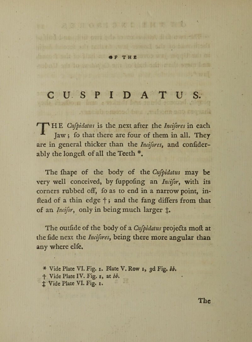 CU SPIDA TUS. , » a - < • * . » ' 1 ' H E Cufpidatus is the next after the lncifores in each *** Jaw; fo that there are four of them in all. They are in general thicker than the lncifores, and confider- ably the longed of all the Teeth The fhape of the body of the Cufpidatus may be very well conceived, by fuppofing an Incifor, with its corners rubbed off, fo as to end in a narrow point, in¬ dead of a thin edge f; and the fang differs from that of an Incifor, only in being much larger J. The outfide of the body of a Cufpidatus projects mod at the fide next the lncifores, being there more angular than any where elfe. * Vide Plate VI. Fig. i. P-late V. Row i, 3d Fig. bh *f- Vide Plate IV. Fig. 1, at bb% % Vide Plate VI. Fig. 1.