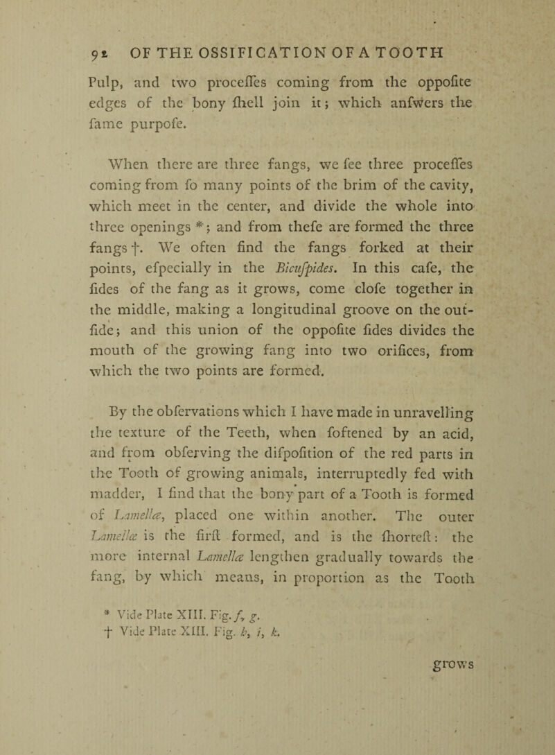 Pulp, and two proceffes coming from the oppofite edges of the bony fhell join it; which anfwers the fame purpofe. When there are three fangs, we fee three precedes coming from fo many points of the brim of the cavity, which meet in the center, and divide the whole into three openings and from thefe are formed the three fangs f. We often find the fangs forked at their points, efpecially in the Bicufpides. In this cafe, the Tides of the fang as it grows, come clofe together in the middle, making a longitudinal groove on the out- fide; and this union of the oppofite Tides divides the mouth of the growing fang into two orifices, from which the two points are formed. By the obfervations which I have made in unravelling the texture of the Teeth, when foftened by an acid, and from obferving the difpofition of the red parts in the Tooth of growing animals, interruptedly fed with madder, I find that the bony part of a Tooth is formed of Lamella, placed one within another. The outer Lame lice is the firft formed, and is the fhorteft: the more internal Lamella lengthen gradually towards the fang, by which means, in proportion as the Tooth * Vide Plate XIII. Fig. fy g. f Vide Plate XIII. Fig. hx /, k. grows