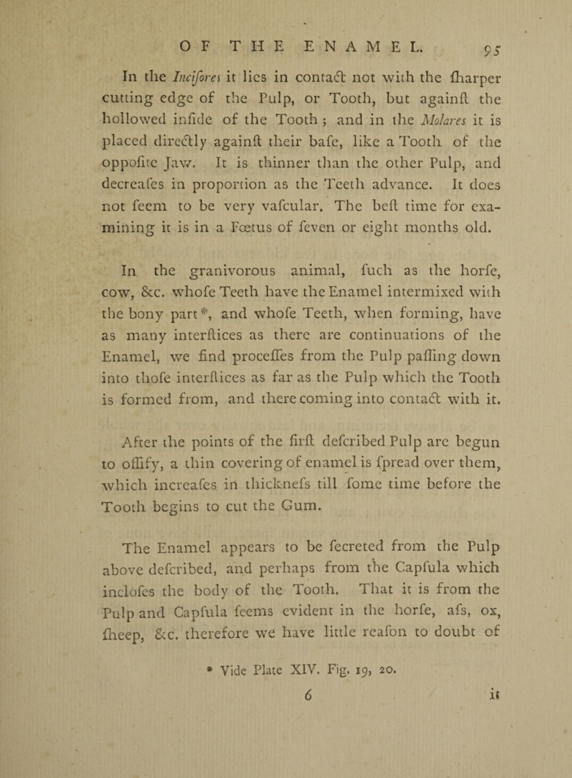 In the Incifores it lies in contact not with the fharper cutting edge of the Pulp, or Tooth, but againft the hollowed infide of the Tooth ; and in the Molares it is placed direcftly againft their bafe, like a Tooth of the oppofite Jaw. It is thinner than the other Pulp, and decreafes in proportion as the Teeth advance. It does not feem to be very vafcular. The heft time for exa¬ mining it is in a Foetus of feven or eight months old. In the granivorous animal, fuch as the horfe, cow, &c. whofe Teeth have the Enamel intermixed with the bony part*, and whofe Teeth, when forming, have as many interfaces as there are continuations of the Enamel, we find procefies from the Pulp palling down into thofe interfiles as far as the Pulp which the Tooth is formed from, and there coming into contadt with it. After the points of the firft deferibed Pulp arc begun to oflify, a thin covering of enamel is fpread over them, which increafes in thicknefs till fome time before the Tooth begins to cut the Gum. The Enamel appears to be fecreted from the Pulp above deferibed, and perhaps from the Capfula which inclofes the body of the Tooth. That it is from the Pulp and Capfula feems evident in the horfe, afs, ox, fheep, &c. therefore we have little reafon to doubt of it * Vide Plate XIV. Fig. 19, 20, 6