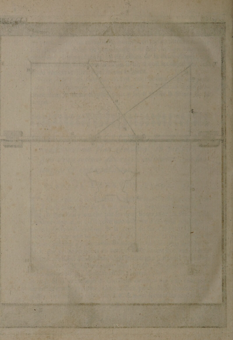 '■ -<■ - 4» - • , - , , ■■■,.- {V, ‘ . • H ■ '  . _ ' * . . ’&i, . » ,***^ t • V • > 4 . i 1 ..-W' ■ . . .. ’ i : . — . • , L \ V . -.7^'...- .• •• •• . :._r- ,• • . r.V . • ; h - • . V •• ». • • ■ , .. ■ . - ... ■ : .. .: . . . — - V V.