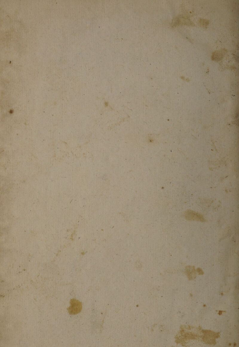 ■\Æ ' » • 'i ■ Vt . ‘ 4 » ^ \\ V - ( * •V * ,# T . *• V * , ta* t?:. ■ ufti