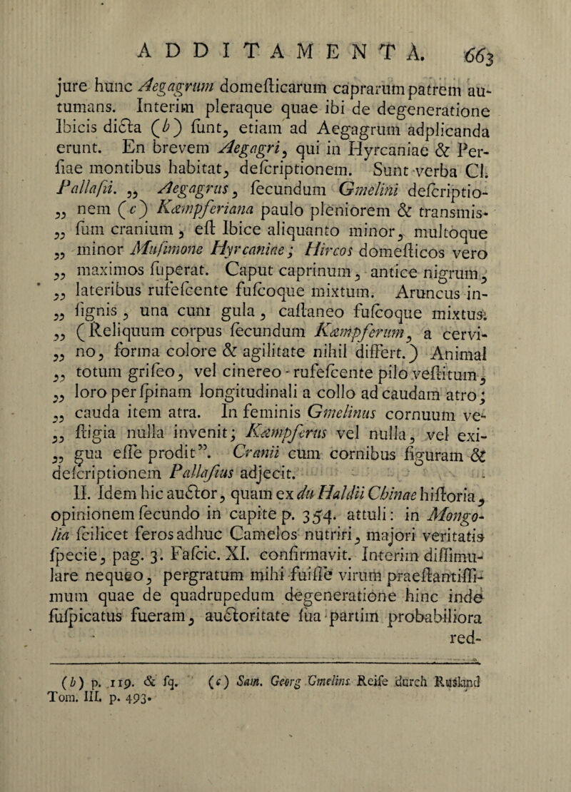 jure hunc Aegagrtm domefticarum caprarum patrem au¬ tumans. Interim pleraque quae ibi de degeneratione Ibicis dicla (/>) fiint, etiam ad Aegagrum adplicanda erunt. En brevem Aegagri? qui in Hyrcaniae & Per- fiae montibus habitat^ defcriptionem. Sunt verba Cl. Fallafii. 55 Aeg agnis 3 fecundum Gmelini defcriptio- ^ nem (-£) Kampfertana paulo pleniorem & transmis- „ fum cranium 3 eft Ibice aliquanto mirior 3 multoque ?? minor Mufmone Hyrcaniae; Hircos domeflicos vero 55 maximos fuperat. Caput caprinum 5 antice nigrum 5 55 lateribus rufefcente fufcoque mixtum. Aruncus in- 55 figrii-s 5 una cum gula 5 caftaneo fufcoque mixtusfc- 55 (Reliquum corpus fecundum Kampferum, a cervi- 55 no5 forma colore & agilitate nihil differt.) Animal 55 totum grifeo5 vel cinereo - rufefcente pilo veflitum5 ,5 loro per fpinam longitudinali a collo ad caudam atro; 55 cauda item atra. In feminis Gmelinus cornuum ve- 55 frigia nulla invenit; Kampfmis vel nulla, vel exi- 5, gua effe prodit’5. Cranii cum cornibus figuram & defcriptionem Pallafius adjecit. II. Idem hic audior 5 quam ex dn Haldii Cbinae hiftoria^ opinionem fecundo in capite p. 354. attuli: in Mongo- lia fcilicet feros adhuc Camelos nutriri 5 majori veritati» fpecie5 pag. 3. Fafcic. XI. confirmavit. Interirn diflimu¬ lare nequeo 5 pergratum mihi fui fle virum praeflantiffi- mum quae de quadrupedum degeneratione hinc inde fufpicatus fueram 5 audloritate fiia partim probabiliora red- (b) p. .119. & % (0 Sa,n- Georg CmeHns Reife darch Ruskind