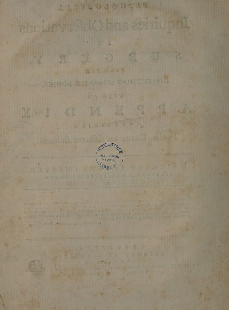 ot dg 8 hoet nite ma ae a get? ama aULAoM bd ev OT. A a | i . ey an ata le ‘ay AN ys BM 6 is “2 Mae FR 4a i p - Sa te sas aga ‘4 he ' ig oe ihe wlie Scyerpaeten) fie) BUSAK _ MEDICaL - : te < ? » ee . +. &amp; FF 2 9- 8 : , ve 2 5 o 55 + WE AR a aP. &amp; R. rt VAAMATL eT whist OL gE ea ist Olea? 8 oe, oe ed ; we i‘ # A Eee ’ vi co-— ~ -—- a 0 en ed - we - He? nd Dine ger nes ae eR = * hee io a 9 wah pitre 7 ahi iisl aeh teed . in, ei Tew’ * f fi ' : Lit é patie! yaa ; ; a erie igs Py rig cig it Hiss ¥e bs Rie tt rey rye! Lge bar Gist: ‘iy: ajay pe Pie > ab Meng chic uvitorte tis gn fake aoe £9 Oa ae: arab Ve 615.5 ob t s>hegiy af Hal a ina 043 Hndep sh gooced ee ee. wae : «3 ‘< 2 P Pail ee ro) atau aa92 ee q { i ft e Ph. at? ; via am ‘ bh 7s: “ Apa span? me OS oe ae 7 alien: ratee = Bi ty * Py © yraomen