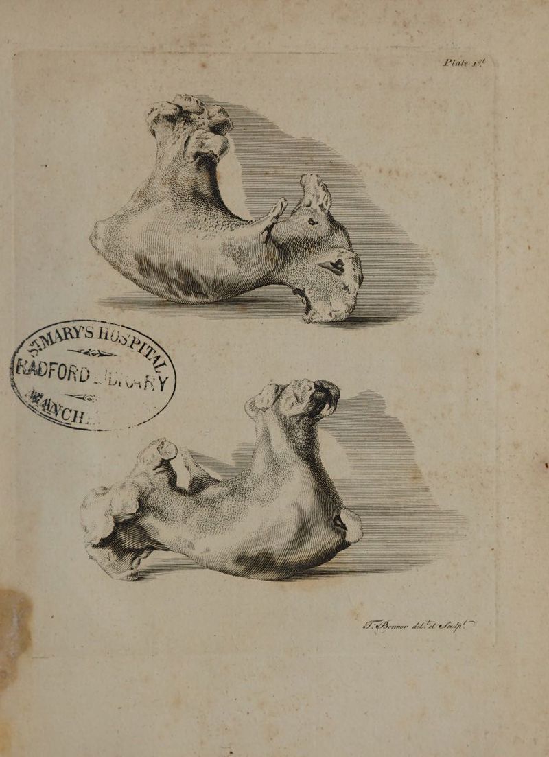 ’ * Plate 18¢ TS. Domtior del. ft fel _2