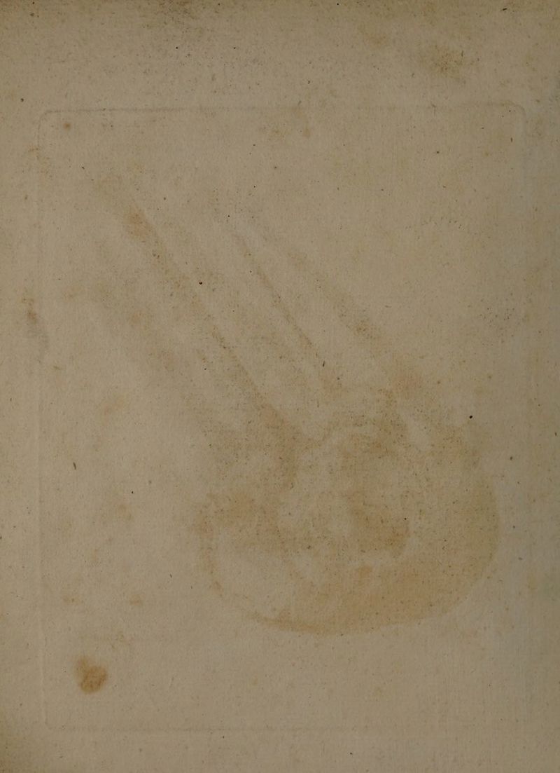 % : e Far Aan, ks Beet mai “ : wae Fane