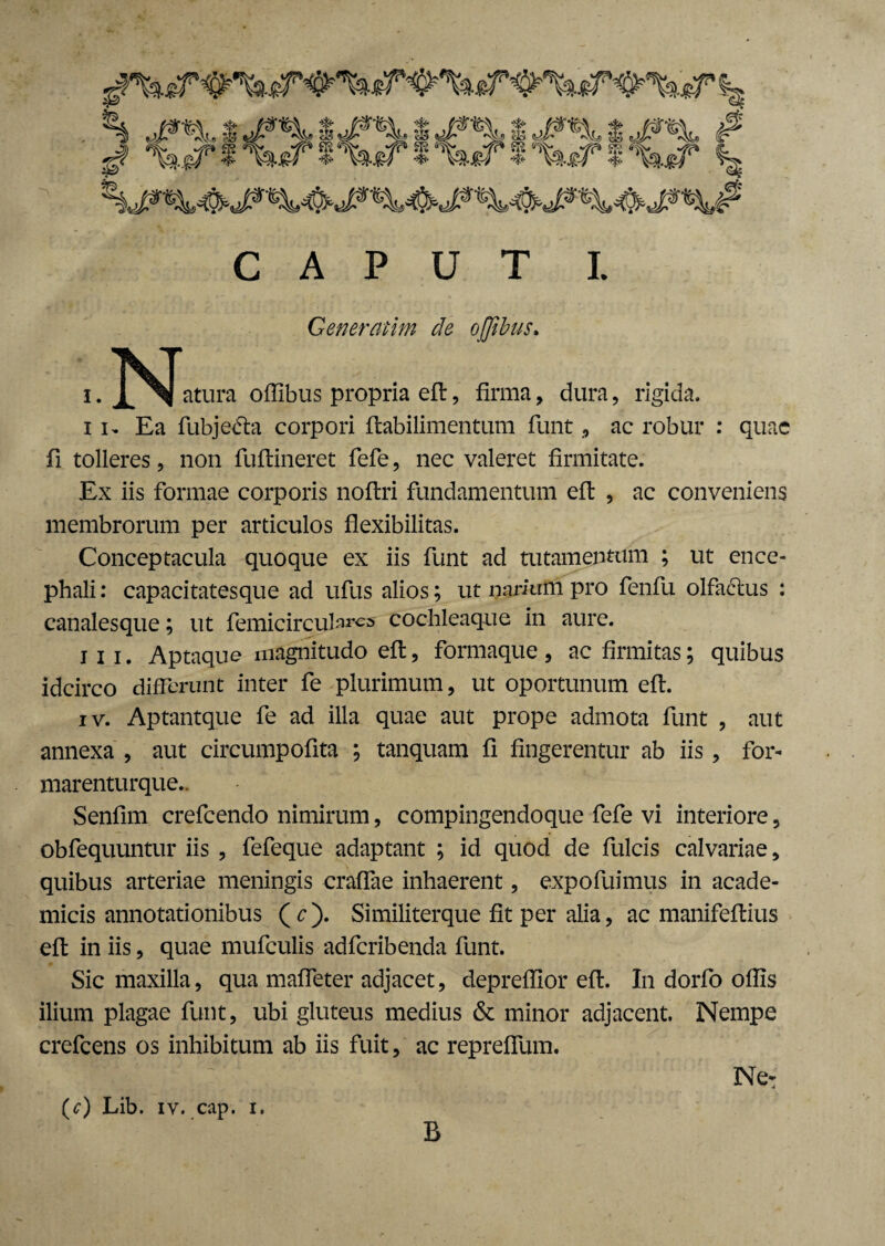 CAPUT I. Generarim de ojjibus. ,.N atura offibus propria eft, firma , dura, rigida. i i, Ea fubjedta corpori ftabilimentum funt, ac robur : quae fi tolleres, non fuftineret fefe, nec valeret firmitate. Ex iis formae corporis noftri fundamentum eft , ac conveniens membrorum per articulos flexibilitas. Conceptacula quoque ex iis funt ad tutamentum ; ut ence¬ phali : capacitatesque ad ufus alios; ut narium pro fenfu olfaftus : canalesque; ut femicirculare»- cochleaque in aure. iii. Aptaque magnitudo eft, formaque, ac firmitas; quibus idcirco differunt inter fe plurimum, ut oportunum eft. iv. Aptantque fe ad illa quae aut prope admota funt , aut annexa , aut circumpofita \ tanquam fi fingerentur ab iis, for- marenturque.. Senfim crefcendo nimirum, compingendoque fefe vi interiore, obfequuntur iis , fefeque adaptant ; id quod de fulcis calvariae, quibus arteriae meningis craffae inhaerent, expofuimus in acade- micis annotationibus ( c). Similiterque fit per alia, ac manifeftius eft in iis, quae mufculis adferibenda funt. Sic maxilla, qua maffeter adjacet, depreflior eft. In dorfo offis ilium plagae funt, ubi gluteus medius & minor adjacent. Nempe crefcens os inhibitum ab iis fuit, ac repreffum. Ne: (r) Lib. iv. cap. i. B