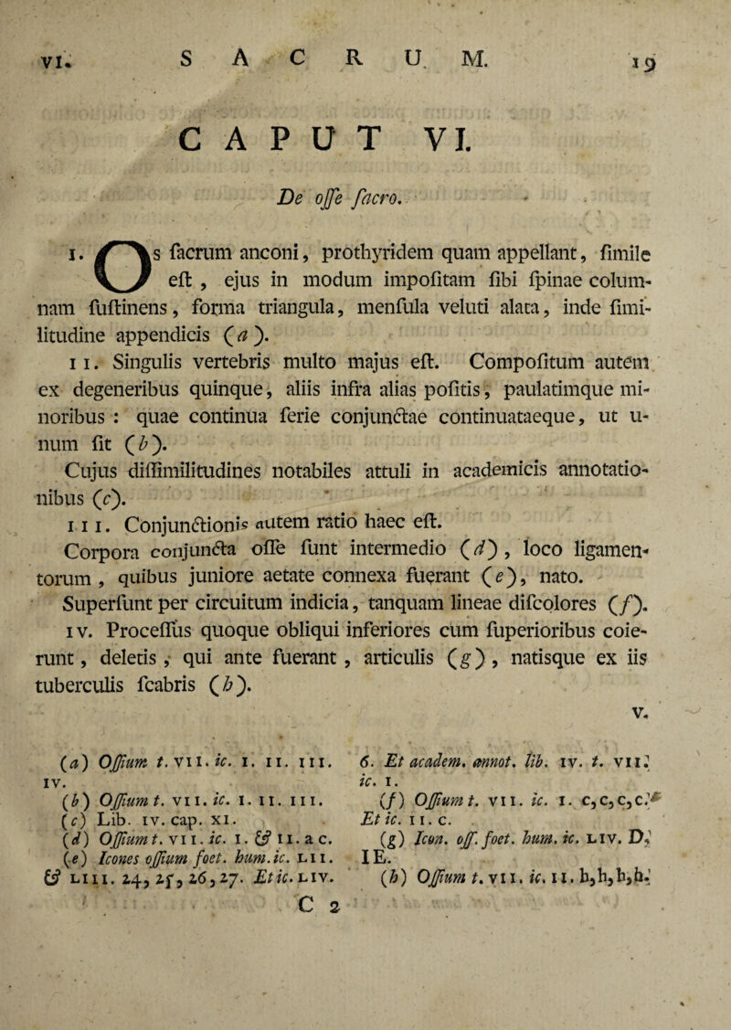 CAPUT VI. De ojje facro. l. facrum anconi, prothyridem quam appellant, fnnile eft , ejus in modum impolitam libi fpinae colum¬ nam fuftinens, forma triangula, menfula veluti alata, inde firni- litudine appendicis ( a ). 11. Singulis vertebris multo majus eft. Compolitum autem ex degeneribus quinque, aliis infra alias pofitis, paulatimque mi¬ noribus : quae continua ferie conjun&ae continuataeque, ut li¬ num fit (£). Cujus diffimilitudines notabiles attuli in academicis annotatio¬ nibus (e). m. Conjun&ionis «utem ratio haec eft. Corpora conjun&a olfe funt intermedio (^) , loco ligamen¬ torum , quibus juniore aetate connexa fuerant (e), nato. Superfunt per circuitum indicia, tanquam lineae difcolores (/). 1 v. Procelfus quoque obliqui inferiores cum fuperioribus coie¬ runt , deletis, qui ante fuerant , articulis (g) , natisque ex iis tuberculis fcabris (£). v. (a) OJJium t.vn.ic. 1. 11. m. IV. (b) OJJium t. vi 1. ic. I. u. 111. (c) Lib. iv. cap. xi. (<0 OJJium t. vii. ic. 1. 11. a c. (.e) Icones oJJium foet. hum.ic. lii. LIII. 2.4, *f5 2,63*7. LIV* C 2 6. Et academ. mnot. tib. iv. /. vii) ic. 1. (/) OJJium t. vii. ic. 1. c,c,c,c:* Et ic. 11. c. . (?) Icon. ojf. foet. hum. ic. liv. Di IE. (h) Oj/ium t.vii. ic.il.b^hyhyhi