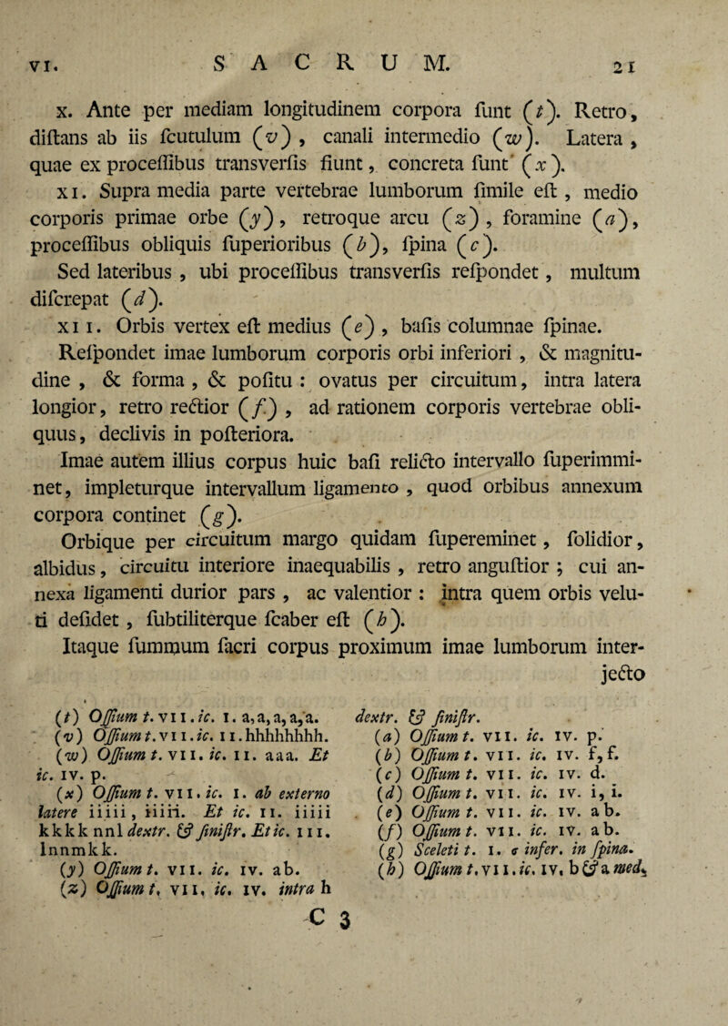 x. Ante per mediam longitudinem corpora funt (/). Retro, diftans ab iis fcutulum (z/) , canali intermedio (w). Latera , quae ex proceffibus transverfis fiunt, concreta funt' (x). x i. Supra media parte vertebrae lumborum fimile eft , medio corporis primae orbe (^), retroque arcu (s) , foramine proceffibus obliquis fuperioribus (Z>), fpina (r). Sed lateribus , ubi proceffibus transverfis refpondet, multum difcrepat (i). xii. Orbis vertex eft medius (e) , bafis columnae fpinae. Refpondet imae lumborum corporis orbi inferiori , & magnitu¬ dine , & forma , & pofitu : ovatus per circuitum, intra latera longior, retro redior (/) , ad rationem corporis vertebrae obli¬ quus, declivis in pofteriora. Imae autem illius corpus huic bafi relido intervallo fuperimmi- net, impleturque intervallum ligamento , quod orbibus annexum corpora continet (g). Orbique per circuitum margo quidam fupereminet, folidior, albidus, circuitu interiore inaequabilis , retro anguftior ; cui an¬ nexa ligamenti durior pars , ac valentior : intra quem orbis velu- ti defidet , fubtiliterque fcaber eft (£). Itaque fummum facri corpus proximum imae lumborum inter- jedo (/) OJfum t.vn .ic. i. a,a,a,a,a. (v) OJJiumt.vn.ic. 11.hhhhhhhh. (w) OJfium /.vii. k. ii. aaa. Et ic. iv. p. (x) OJJium t. vii. ic. i. ab externo latere iiiii, ii i ii. Et ic. n. iiiii k k k k n n 1 dextr. & fmijir. Et ic. 111. lnnmkk. (y) OJJium t. vn. ic. iv. ab. (z) OJJium t. vii, k. iv. intra h C 3 dextr. & fmijir. (a) OJJium t. vn. k. iv. p. \b) OJJium t. vii. ic. iv. f, f. (t) OJJium t. vii. ic. iv. d. (d) OJJium t. vii. ic. iv. i, i. (e) OJfium t. vii. k. iv. ab. (/) OJfium t. vn. ic. iv. ab. (g) Sceleti t. i. c infer, in fpina. (h) OJfium t.wii.k. iVtb&nmd±
