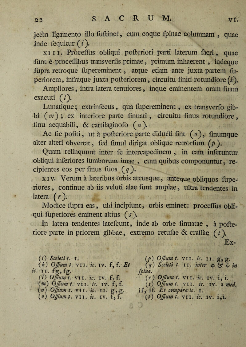 2 * S A C R U M. vi.' jefto ligamento illo fuftinet, cum eoque fpinae columnam * quae inde fequitur (*). xiii. Procefius obliqui pofteriori parti laterum facri, quae funt b proceflibus transverfis primae, primum inhaerent , indeque fupra retroque fupereminent, atque etiam ante juxta partem fu- periorem, infraque juxta pofteriorem, circuitu finiti rotundiore (£). Ampliores, intra latera tenuiores, inque eminentem oram fuam exacuti (/). Lunatique; extrinfecus, qua fupereminent , ex transverfo gib¬ bi (m) ; ex interiore parte finuati, circuitu finus rotundiore, finu aequabili, & cartilaginofo (/z). Ac fic pofiti, ut h pofteriore parte didudti fint (0), finumque alter alteri obvertat, fed fimul dirigat oblique retrorfum (jp ). Quam relinquunt inter fe intercapedinem , in eam inferuntur obliqui inferiores lumborum imae , cum quibus componuntur , re¬ cipientes eos per finus fuos (#). xiv. Verum k lateribus orbis arcusque, anteque obliquos fupe- riores, continue ab iis veluti alae funt amplae, ultra tendentes in latera (r). Modice fupra eas, ubi incipiunt, orbis eminet: proceUus obli¬ qui fuperiores eminent altius (r). In latera tendentes latefcunt, inde ab orbe finuatae , k pofle- riore parte in priorem gibbae, extremo retufae & craflae (t). Ex- (p) OJJium t. vii. ic. 11. g, g. (q) Sceleti t. 11. inter $ & ^ in fpina. (r ) OJJium t. vn. ic. iv. i, i. (s) OJJium t. vii. ic. iv. a med. if, if. Et compara ic. 1. / (i) Sceleti t. 1, {£) OJJumt. vii. ic. iv. f, f. Et ic. 11. fg,fg. (/) OJJumt. vii. ic. iv. f, f. {m) OJJumt. vii. ic. iv. f, f. (») OJJumt. vii. ic. 11. g,g.