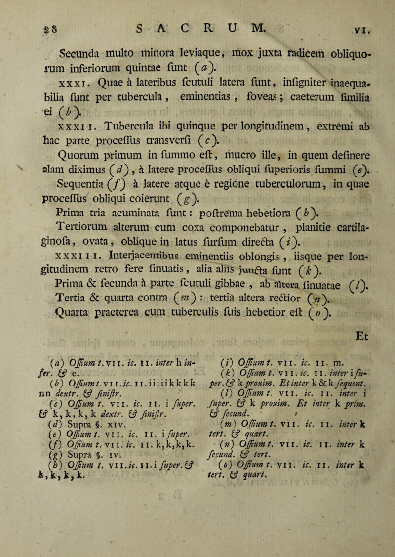 Secunda multo minora leviaque, mox juxta radicem obliquo¬ rum inferiorum quintae funt (0). xxxi. Quae a lateribus fcutuli latera funt, infigniter inaequa¬ bilia funt per tubercula, eminentias , foveas; caeterum fimilia ei ( b). xxxii. Tubercula ibi quinque per longitudinem, extremi ab hac parte proceffus transverfi (c). Quorum primum in fummo eft, mucro ille, in quem delinere alam diximus (^d) , k latere proceffus obliqui fuperioris fummi (e). Sequentia (/) k latere atque 6 regione tuberculorum, in quae proceffus obliqui coierunt (g). Prima tria acuminata funt: poftrema hebetiora (£). Tertiorum alterum cum coxa componebatur , planitie cartila- ginofa, ovata, oblique in latus furfum diredta (z). xxxi i i. Interjacentibus eminentiis oblongis , iisque per lon¬ gitudinem retro fere fmuatis, alia aliis jvmfta funt (k). Prima & fecunda & parte fcutuli gibbae , ab altera finuatae (/). Tertia & quarta contra : tertia altera re&ior Quarta praeterea cum tuberculis fuis hebetior eft (0). * Et (a) OJfium t. Vi I. ic. 11. inter h in¬ fer. 3 e. (b) OJfium t. v 11. ic. 11. ii i i i k k k k nn dextr. 3 Jinifir. (c) OJJium t. vii. ic. 11. i fuper. 3 k, k, k, k dextr. 3 finijlr. {d) Supra §. xiv. (e) OJJium t. vii. ic. n. \ fuper. (/) OJfium t.-vii. ic. 11. k,k,k,k. (g) Supra §. iv. (b) OJJium t. vn.fV. ix.i fuper. & k, k, k, k. (#) OJfium t. vii. ic. 11. m. (k) OJfium t. vii. ic. 11. inter i fu¬ per. 13 k proxim. Et inter k 6c k fequent. (/) OJfium t. vii. ic. 11. inter i fuper. 13 k proxim. Et inter k prim. 3 fecund. * t (m) OJfium t. vii. ic. 11. inter k tert. 13 quart. (n) OJfium t. vii . ic. 11. inter k fecund. 3 tert. (o) OJJium t. vii. ic. n. inter k tert. 3 quart.