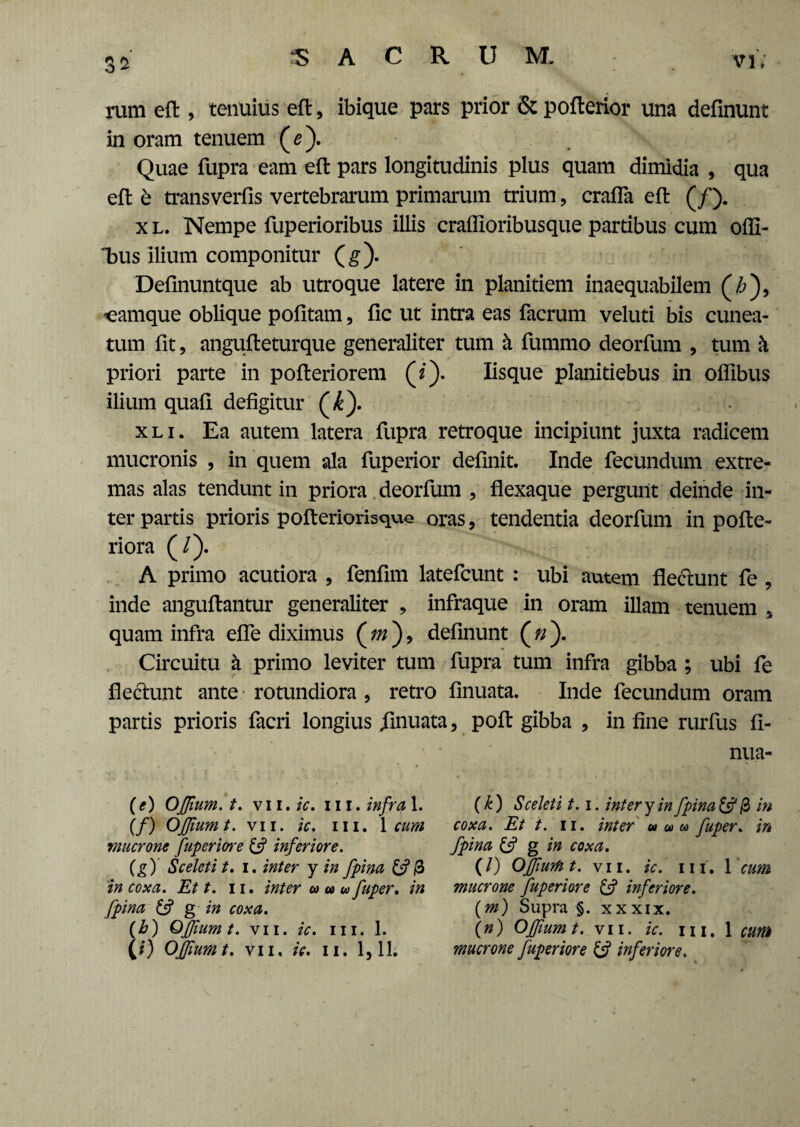 rum eft , tenuius eft, ibique pars prior & pofterior una definunt in oram tenuem (*). Quae fupra eam eft pars longitudinis plus quam dimidia , qua eft 6 transverfis vertebrarum primarum trium, crafla eft (/). x l. Nempe fuperioribus illis craflioribusque partibus cum offi¬ xus ilium componitur (g). Definuntque ab utroque latere in planitiem inaequabilem (Z>), namque oblique pofitam, fic ut intra eas facrum veluti bis cunea¬ tum fit, angufteturque generaliter tum k fummo deorfum , tum k priori parte in pofteriorem (2). Iisque planitiebus in oflibus ilium quafi defigitur (/£). xli. Ea autem latera fupra retroque incipiunt juxta radicem mucronis , in quem ala fuperior definit. Inde fecundum extre¬ mas alas tendunt in priora deorfum , flexaque pergunt deinde in¬ ter partis prioris pofteriorisque oras, tendentia deorfum in pofte- riora (/). A primo acutiora , fenfim latefcunt : ubi autem flectunt fe , inde anguftantur generaliter , infraque in oram illam tenuem , quam infra efle diximus ( m ), definunt ( n ). Circuitu k primo leviter tum fupra tum infra gibba ; ubi fe flectunt ante rotundiora , retro finuata. Inde fecundum oram partis prioris facri longius finuata, poft gibba , in fine rurfus fi- (e) OJfium.t. vil. ic. m. infra 1. (/) OJJiumt. vii. ic. m. 1 cum mucrone fuperiore & inferiore. (g) Sceleti t. 1. inter y in fpina & & in coxa. Et t. 11. inter u a w fuper. in fpina £s? g in coxa. (h) QJJium t. vii. ic. m. 1. (i) OJJiumt. vii. ic. 11. 1,11. nua- (k) Sceleti 1.1. inter y in fpina & $ in coxa. Et t. 11. inter uuu fuper. in fpina & g in coxa. (/) OJJiurfit. vii. ic. m. 1 'cum mucrone fuperiore & inferiore. (m) Supra §. xxxix. (n) OJJiumt. vii. ic. m. 1 cum mucrone fuperiore & inferiore.