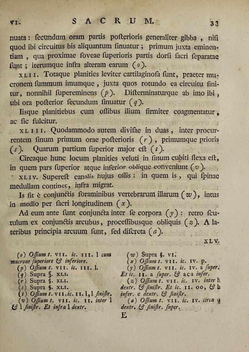33 nuata: fecundum oram partis pofterioris generaliter gibba , nifi quod ibi circuitus bis aliquantum finuatur ; primum juxta eminen¬ tiam , qua proximae foveae fuperioris partis dorfi fieri feparatae funt ; iterumque infra alteram earum (tf). xli i. Totaque planities leviter cartilaginofa funt, praeter mu¬ cronem fummum imumque , juxta quos rotundo ea circuitu fini¬ tur, nonnihil fupereminens (p). Difterminaturque ab imo ibi , ubi ora pofterior fecundum finuatur (^). Iisque planitiebus cum oflibus ilium firmiter coagmentatur # ac fic fulcitur. x l 111. Quodammodo autem divifae in duas, inter procur¬ rentem finum primum orae pofterioris (V) , primumque prioris (p). Quarum partium fuperior major eft (*). Circaque hunc locum planities veluti in finum cubiti flexa eft, in quem pars fuperior atque inferior oblique conveniunt (^). - xliv. Supereft canalis fiujus olfis : in quem is , qui lpinae medullam continet, infra migrat. Is fit & conjun&is foraminibus vertebrarum illarum ( w ), intus in medio per facri longitudinem (x). Ad eum ante funt conjun&a inter fe corpora (y) : retro fcu- tulum ex conjunftis arcubus, proceflibusque obliquis (z). A la¬ teribus principia arcuum funt, fed difereta (tf). X L V. (o) Ofjiumt. vii. ic. m. 1 cum mucrone fuperiore & inferiore. (p) Ofjiumt. vii. ic, m. 1. (q) Supra §. xli. (r) Supra §. xli. \s) Supra §. xli. (/) Ofjtum t. vn.ic. 11.1,1 fmiflr. (v) Offlum t. vii. ic. 11. inter 1 & 1 fmiflr. Et infra 1 dextr. (w) Supra §. vi.' (x) Ofjiumt. vii. ic. iv. p. (y) Ofjiumt. vii. ic. iv. a fuper, Etic. 11. a fuper. & aca infer. (3) Ofjiumt. vii. ic. iv. inter h dextr. tfj fmijlr. Et ic. 11. o o, & b infer, e dextr. & fmiflr. (a) OJfium t. vii. ic. XV. Circa q dextr, & fmiflr. fuper, E