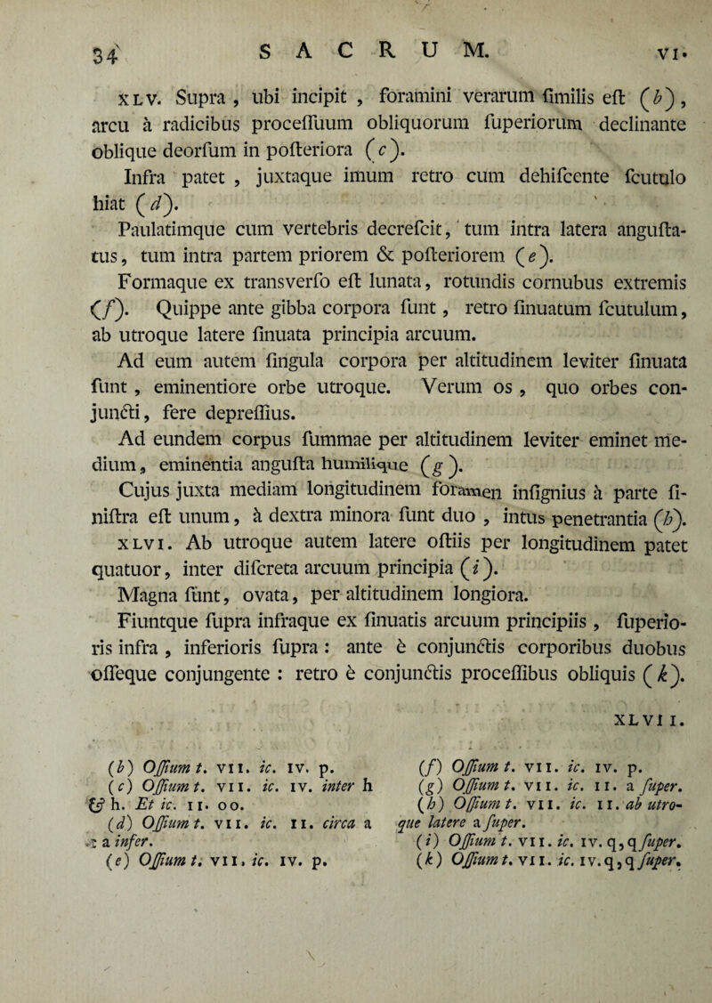/' 34 SACRUM. vi- xlv. Supra, ubi incipit , foramini verarum fimilis efl (£), arcu a radicibus procefluum obliquorum fuperiorum declinante oblique deorfum in pofteriora (c). Infra patet , juxtaque imum retro cum dehifcente fcutulo hiat ( d). Paulatimque cum vertebris decrefcit, tum intra latera angufta- tus, tum intra partem priorem & pofteriorem ( e). Formaque ex transverfo eft lunata, rotundis cornubus extremis (/). Quippe ante gibba corpora funt, retro finuatum fcutulum, ab utroque latere finuata principia arcuum. Ad eum autem fingula corpora per altitudinem leviter finuata funt , eminentiore orbe utroque. Verum os , quo orbes con¬ jungi, fere depreflius. Ad eundem corpus fummae per altitudinem leviter eminet me¬ dium, eminentia angufta humilkpie (g ). Cujus juxta mediam longitudinem foramen infignius a parte fi- niftra efi: unum, k dextra minora funt duo , intus penetrantia Qj). xlvi. Ab utroque autem latere oftiis per longitudinem patet quatuor, inter difcreta arcuum principia (i). Magna funt, ovata, per altitudinem longiora. Fiuntque fupra infraque ex finuatis arcuum principiis, fuperio- ris infra , inferioris fupra : ante b conjun&is corporibus duobus ofleque conjungente : retro b conjunctis proceffibus obliquis xlvi i. (b) OJJiumt. vii. ic. iv. p. (c) OJJiumt. vii. ic. iv. inter h (/) OJJiumt. vii. ic. iv. p. h. Et ic. ii. oo. (d) OJJiumt. vii. ic. ii. circa a (g) OJJiumt. vii. ic. n. a fuper. (h) OJJumt. vii. ic. n. ab utro¬ que latere a fuper. (i) OJJium t. vii. ic. iv. q,qfuper. .•j a infer.