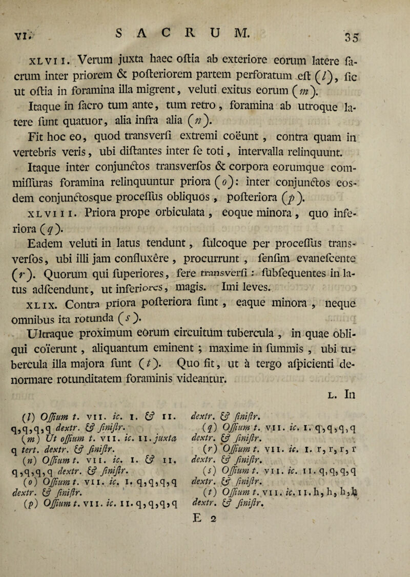 35 vi. xlvi i. Verum juxta haec oftia ab exteriore eorum latere fa- crum inter priorem & pofteriorem partem perforatum eft (/), fic ut oftia in foramina illa migrent, veluti exitus eorum («*). Itaque in facro tum ante, tum retro , foramina ab utroque la¬ tere funt quatuor, alia infra alia (/z). Fit hoc eo, quod transverti extremi coeunt , contra quam in vertebris veris, ubi diftantes inter fe toti, intervalla relinquunt. Itaque inter conjunctos transverfos & corpora eorumque com- miffuras foramina relinquuntur priora (0): inter conjunCtos eos¬ dem conj unCtosque proceffus obliquos , pofteriora (j) ). x l v 111. Priora prope orbiculata , eoque minora , quo infe¬ riora ( q ). Eadem veluti in latus tendunt, fulcoque per proceffus trans¬ verfos , ubi illi jam confluxere , procurrunt , fenfim evanefcente (r). Quorum qui fuperiores, fere transverti: fubfequentes in la¬ tus adfcendunt, ut inferiores ? magis. Imi leves. xlix. Contra priora pofteriora funt , eaque minora , neque omnibus ita rotunda (.f )• Ulcraque proximum erirum circuitum tubercula , in quae obli¬ qui coierunt , aliquantum eminent ; maxime in fummis , ubi tu¬ bercula illa majora funt (*)• Quo fit, ut h tergo afpicienti de¬ normare rotunditatem foraminis videantur. l. In (/) OJfium t. vii. ic. i. & ii. q,q,q,q dextr. & finiftr. (m) Ut oJJium t. vii. ic. n. juxta q tert. dextr. & finiftr. (») OJJium t. vii. ic. I. & 11. q,q,q,q dextr. & Jiniftr. (0) OJJium t. vii. ic. i. q,q,q,q dextr. & finiftr. (p) OJJium t. vii. ic. II. q>q5qjq dextr. £•? finiftr. (q) OJJium t. vii. ic. I. q,q,q,q dextr. & finiftr. (r) 'OJJium t. vii. ic. i. r, r, r, r dextr. & finiftr. (s) OJJium t. vii. ic. n.q,q, q, q dextr. ift Jiniftr. (t) OJfium t. vi i. ic. 11. h, b9 dextr. & finiftr.