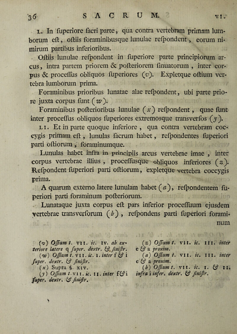 x. In fuperiore facri parte, qua contra vertebram primam lum¬ borum eft , oftiis foraminibusque lunulae refpondent, eorum ni¬ mirum partibus inferioribus. Qftiis lunulae refpondent in fuperiore parte principiorum ar¬ cus , intra partem priorem & pofteriorem finuatorum , inter cor¬ pus & proceflus obliquos fuperiores Qu). Expletque oftium ver¬ tebra lumborum prima. Foraminibus prioribus lunatae alae refpondent, ubi parte prio¬ re juxta corpus funt ( w ). Foraminibus pofterioribus lunulae (ac) refpondent, quae funt inter proceffus obliquos fuperiores extremosque transverfos (jr). l i. Et in parte quoque inferiore , qua contra vertebram coc¬ cygis primam eft, lunulas facrum habet, refpondentes fuperiori parti oftiorum , foraminumque. Lunulas habet infra in principiis arcus vertebrae imae , inter corpus vertebrae illius , procefTusque obliquos inferiores (z). Refpondent fuperiori parti oftiorum, 'expletque vertebra coccygis prima. A quarum externo latere lunulam habet ( a ), refpondentem fu¬ periori parti foraminum pofteriorum. Lunataque juxta corpus eft pars inferior proceftuum ejusdem vertebrae transverforum (£) , refpondens parti fuperiori forami¬ num (v) Ojfiumt. vii. ic. iv. ab ex~ teriore latere q fuper. dextr. ££ finiflr. (w) Ojfium t. vii. ic. i. inter f i fuper. dextr. & finiflr. {x) Supra § xiv. (jy) Ojffium /.vii. ic. ii. inter f&?i fuper. dextr. & finiflr. (z) Ojfiumt. vii. ic. m. inter e £s? a proxim. (a) Ojfiumt. vii. ic. m. inter e & a proxim. (b) Ojfiumt. vii. ic. i. ii, infra i infer, dextr. & finiflr. \