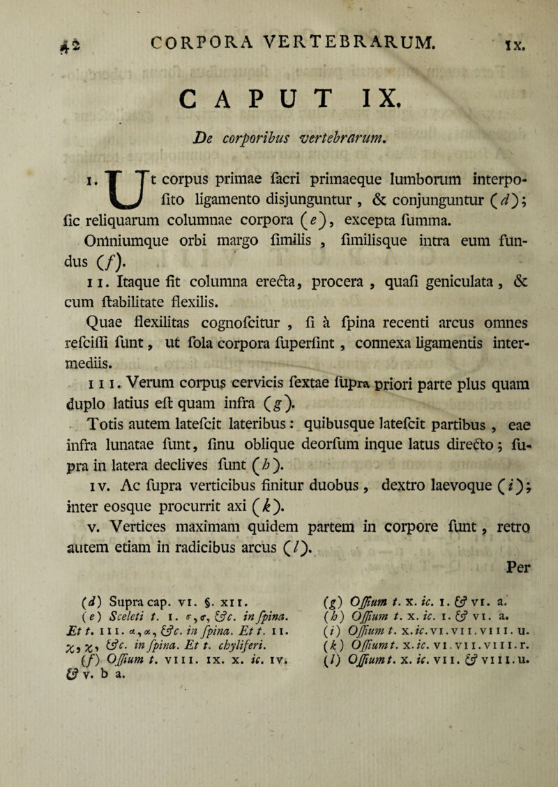 CAPUT IX. De corporibus vertebrarum. i. X Tt corpus primae facri primaeque lumborum interpo¬ la J fito ligamento disjunguntur , & conjunguntur fic reliquarum columnae corpora (*), excepta fumma. Omniumque orbi margo fimilis , fimilisque intra eum fun- dus (/). 11. Itaque fit columna erefla, procera , quafi geniculata, & cum ftabilitate flexilis. Quae flexilitas cognofcitur , fi k fpina recenti arcus omnes refcifli fiunt, ut fiola corpora fiuperfint , connexa ligamentis inter¬ mediis. ni. Verum corpus cervicis fiextae fiupra priori parte plus quam duplo latius effc quam infra (g). Totis autem lateficit lateribus : quibusque lateficit partibus , eae infra lunatae fiunt, finu oblique deorfium inque latus direfto; fiu- pra in latera declives fiunt (h ). iv. Ac fiupra verticibus finitur duobus, dextro laevoque (i); inter eosque procurrit axi (/£). v. Vertices maximam quidem partem in corpore fiunt > retro autem etiam in radicibus arcus (/). Per (d) Supra cap. vi. §. xir. (e) Sceleti t. i. <r, &c. in fpina. Et t. m &c. in fpina. Et t. 11. X, Xi &£■ fpina. Et t. chyliferi. & v. b a. (g) Offium t. x. ic. i. vi. a. (b) OJfum t. x. ic. i. £s? vi. a. (/') Offium t. x.ic.v 1. vi 1. vi 11. u. (k) Offium t. x. ic. v 1. v 11. v 111. r.