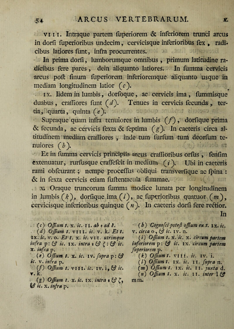 54- viii. Intraque partem fuperiorem & inferiorem trunci arcus in dorfi fuperioribus undecim, cervicisque inferioribus fex , radi- cibus latiores funt, infra procurrentes. In prima dorfi, lumborumque omnibus , primum latitudine ra¬ dicibus fere pares , dein aliquanto latiores. In fumma cervicis arcus pofi: finum fuperiorem inferioremque aliquanto usque in mediam longitudinem latior (V). i x. Iidem in lumbis, dorfoque , ac cervicis ima , fummisque duabus, crafllores funt (V). Tenues in cervicis fecunda , ter¬ tia, quarta, quinta (^). Supraque quam infra tenuiores in lumbis (/) , dorfique prima & fecunda, ac cervicis fexta & feptima (g). In caeteris circa al¬ titudinem mediam^ crafllores , inde tum fiirfum tum deorfum te¬ nuiores (£). '/ !/r Et in fumma cervicis principiis arcus craflloribus orfus , fenfim extenuatur, rurfusque crafiefcit in medium Ubi in caeteris rami obfcurant; nempe procefius obliqui transverfique ac ipina : & in fexta cervicis etiam fuftentacula fummae. xx Oraque truncorum fumma modice lunata per longitudinem in lumbis (£), dorfique ima (/), ac fuperioribus quatuor (w), cervicisque inferioribus quinque («). In caeteris dorfi fere re&ior. In (c) OJJium t. x. ic. ii .ab i ad (d) OJfium t. viii. ic. v. k. Et t. ix. ic. v. o. Et t. x. ic. vi i. utrimque infra p: ic. ix. intra t & g: & ic. x. infra p. (e) OJJium t. x. ic. IV. fupra p: ic. v. infra p. (/) OJJium t. vili. ic. iv. i, & ic. v. k. (g) OJJium t. x. ic. ix. intra t & £, (h) Cognofcipotejt oJJium ex t. ix. ic. v. circa o, & ic. iv. n. (i) OJJium t. x.ic. x. circum partem inferiorem p: & ic. ix. circum partem fuperiorem p. (k) OJfium t. viii. ic. iv. i. (/) OJfium t. ix. ic. n. fupra n. (m) OJfium t. ix. ic. n. juxta d. (n) OJfium t. x. ic. ii. inter 1 ££ mm.