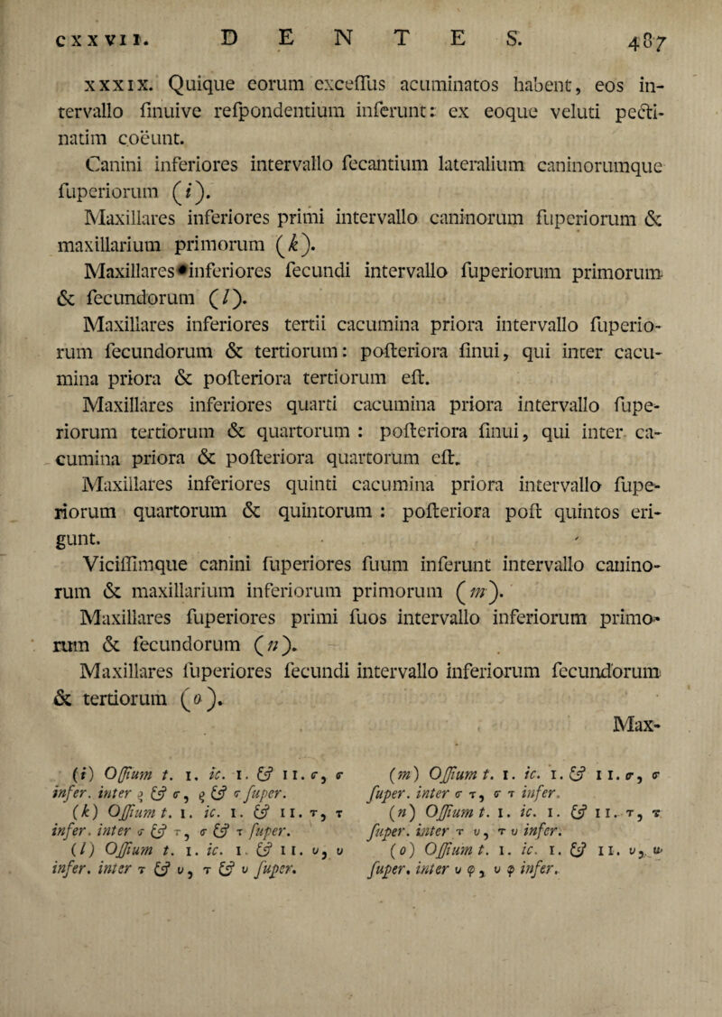 xxxix. Quique eorum exceflus acuminatos habent, eos in¬ tervallo finuive refpondentium inferunt: ex eoque veluti pecfti- natim coeunt. Canini inferiores intervallo fecantium lateralium caninorumque fuperiorum (/). Maxillares inferiores primi intervallo caninorum fuperiorum & maxillarium primorum (<£). Maxillares «inferiores fecundi intervallo fuperiorum primorum & fecundorum (/). Maxillares inferiores tertii cacumina priora intervallo fuperio¬ rum fecundorum & tertiorum: pofteriora finui, qui inter cacu¬ mina priora & pofteriora tertiorum eft. Maxillares inferiores quarti cacumina priora intervallo fupe¬ riorum tertiorum & quartorum : pofteriora finui, qui inter ca¬ cumina priora & pofteriora quartorum eft. Maxillares inferiores quinti cacumina priora intervallo fupe¬ riorum quartorum & quintorum : pofteriora poft quintos eri¬ gunt. Vicifllmque canini fuperiores fuum inferunt intervallo canino¬ rum & maxillarium inferiorum primorum (/?/). Maxillares fuperiores primi fuos intervallo inferiorum primo- rum & fecundorum (n). Maxillares fuperiores fecundi intervallo inferiorum fecundorum & tertiorum (#)* Max- (i) Offum t. 1, ic. 1. ii.r infer, inter ^ ^5? <r, fuper. (k) QJfiumt. 1. ic. 1. & 11. t infer, inter & r, <r & t fuper. (/) Offium t. 1. ic. 1. (f 11. v infer, inter t & v, r & v fuper. (m) Offium t. 1. ic. i.£s? ii.cr, <r fuper. inter <r t, <r t infer. (n) Offium t. 1. ic. 1. 11.. t, -r fuper. inter r v, r v infer. (0) Offium t. 1. /V. 1. 11. y5, fuper. inter v 9 * v p infer,.