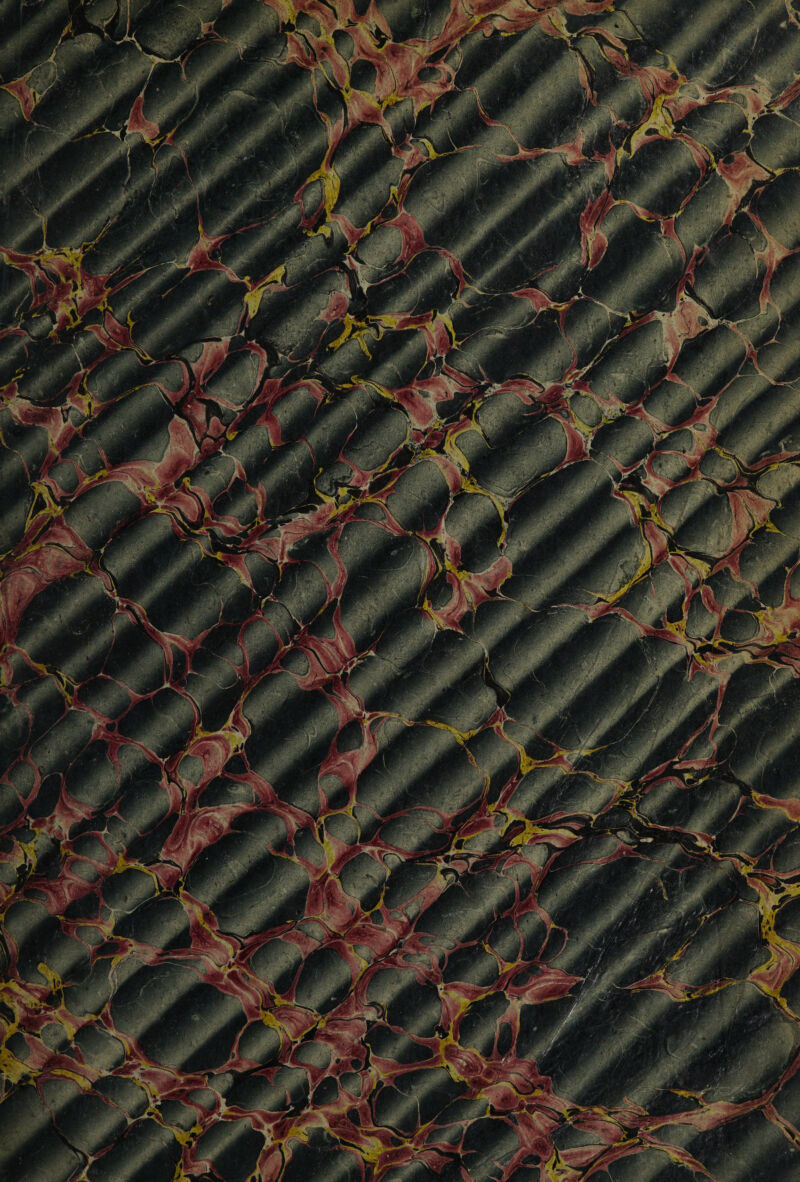 VjSlUPr aM 1^1 HK; ^éâíi .w R^' ‘-'i ÍF;: . \^arl 1 <ja :• ' ^ ^i>; Vii JExCTmZT - i 4 SF ■ J > ^ÊzUr jjF^gja m